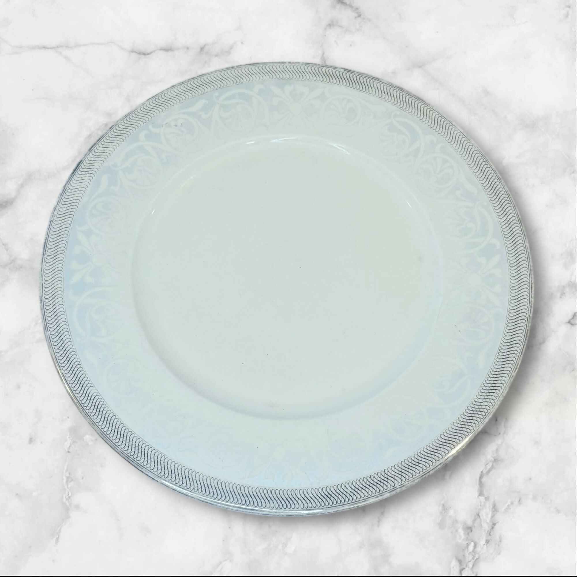WhitePeony Fine Bone China Dinner Plates 10.75” | Set of 9 | Gently Used