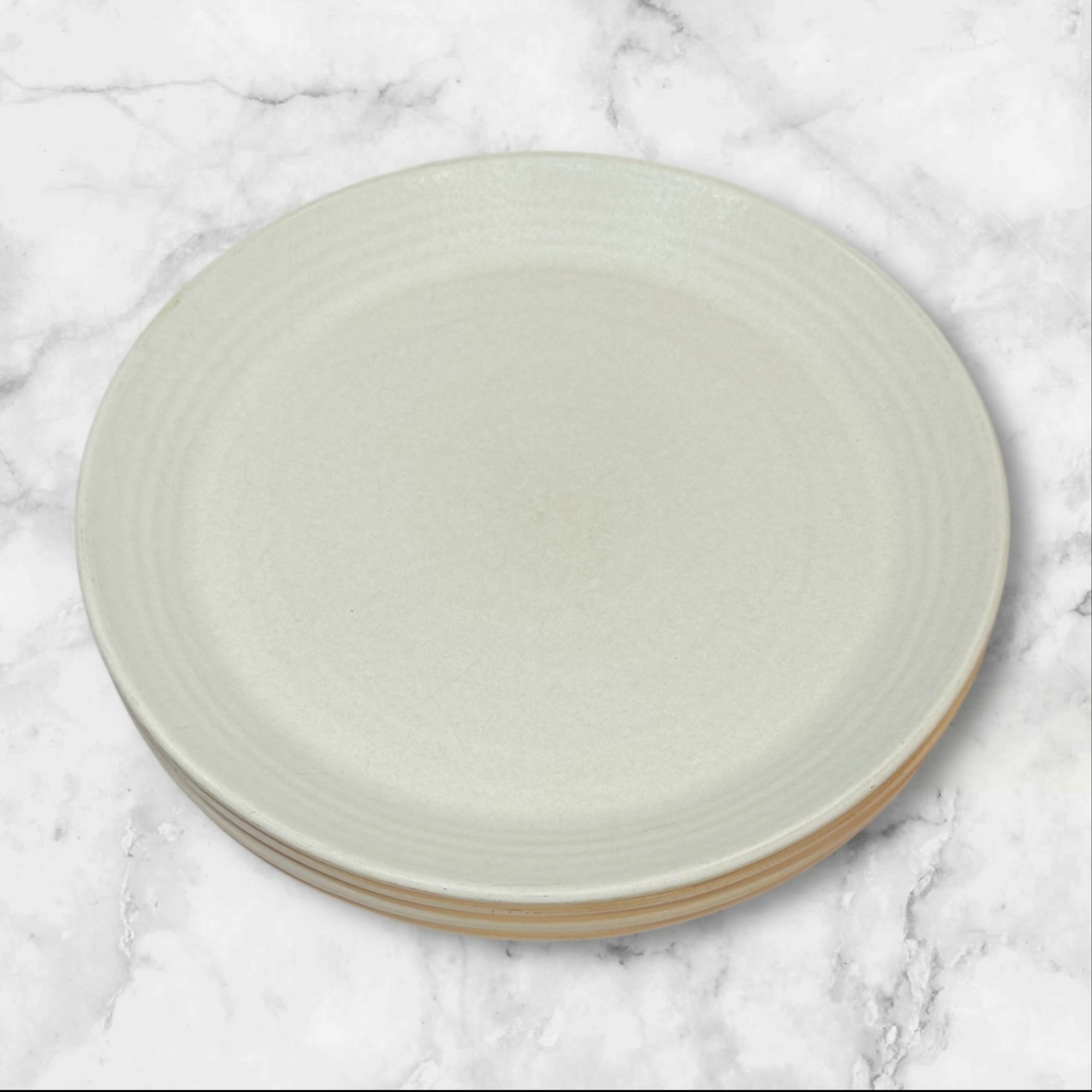 Pottery Barn Larkin Dinner Plates | Set of 4 | Great Condition