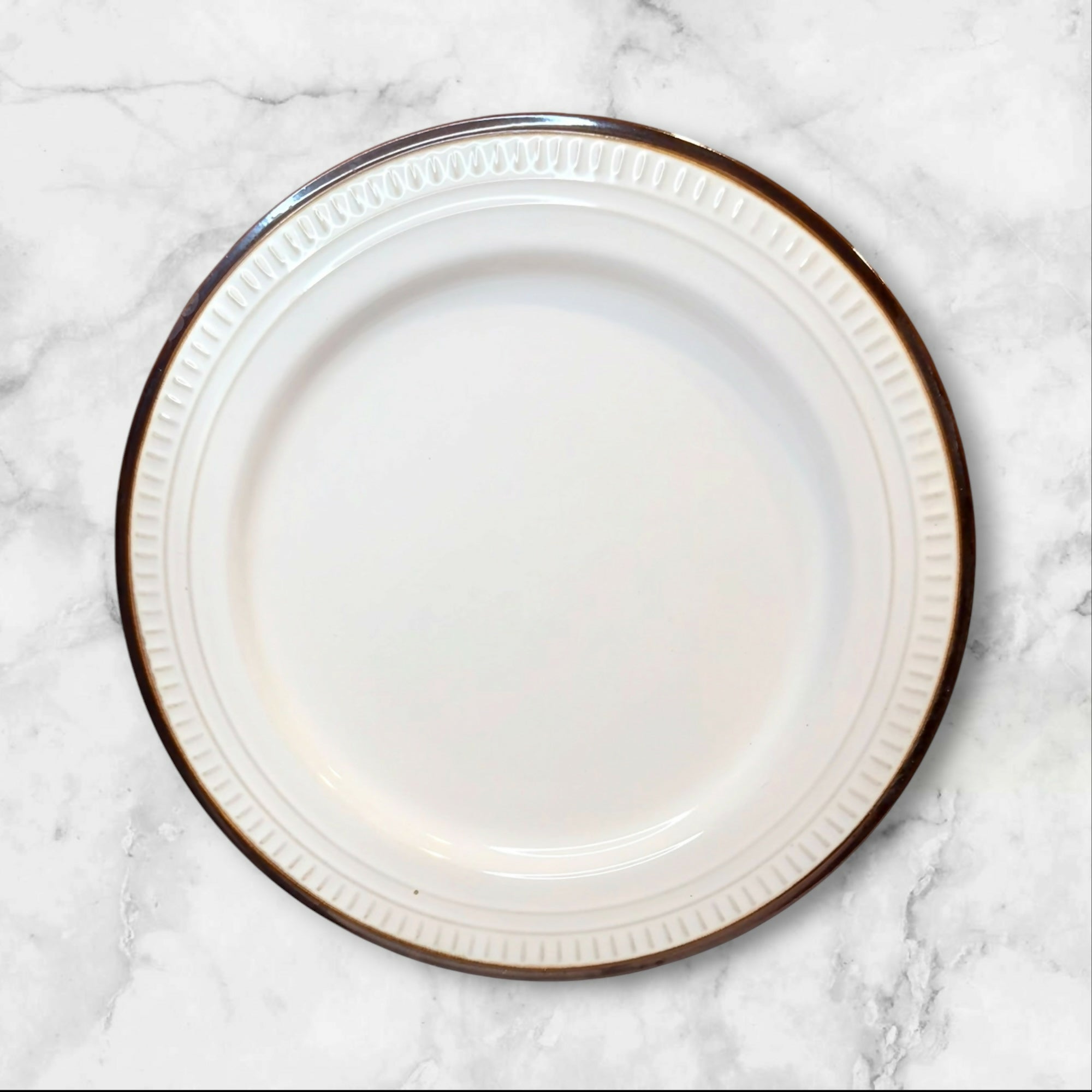 Food Network Biscotti White Dinner Plates Set of 5 Great Condition