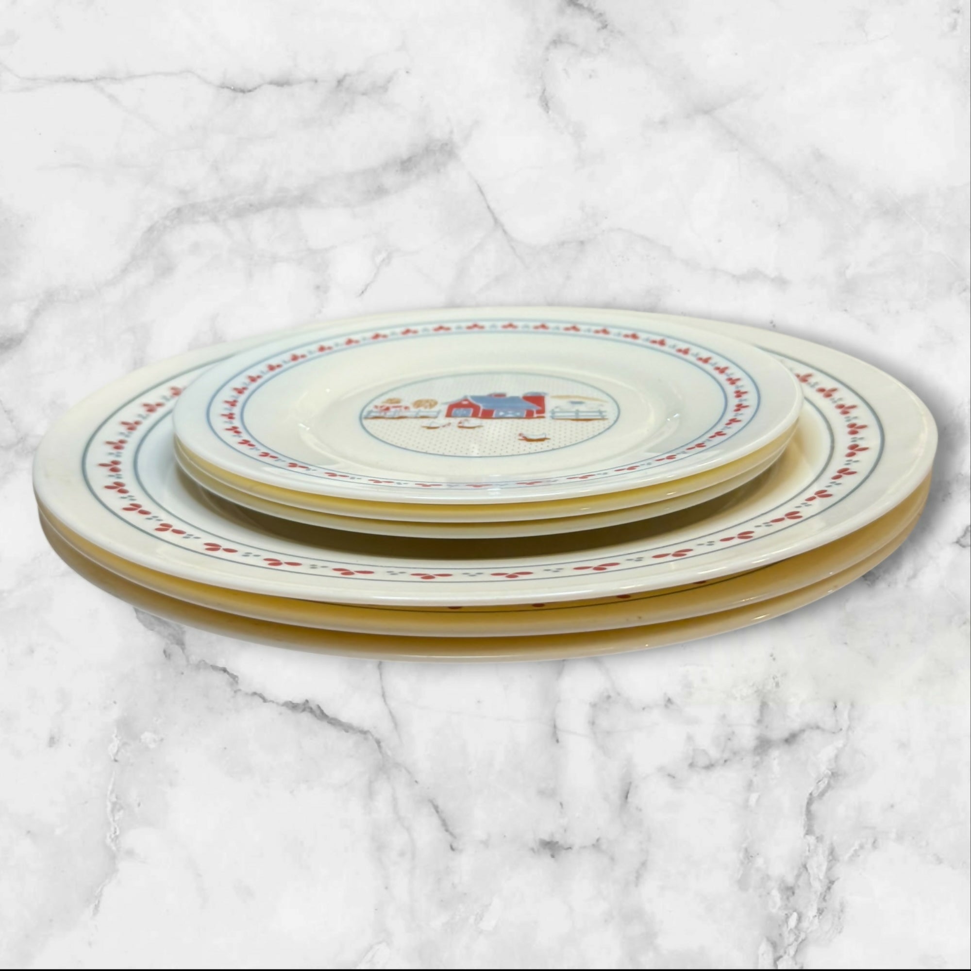 Arcopal Farmhouse Country Plate Set of 6 France | Gently Used Condition