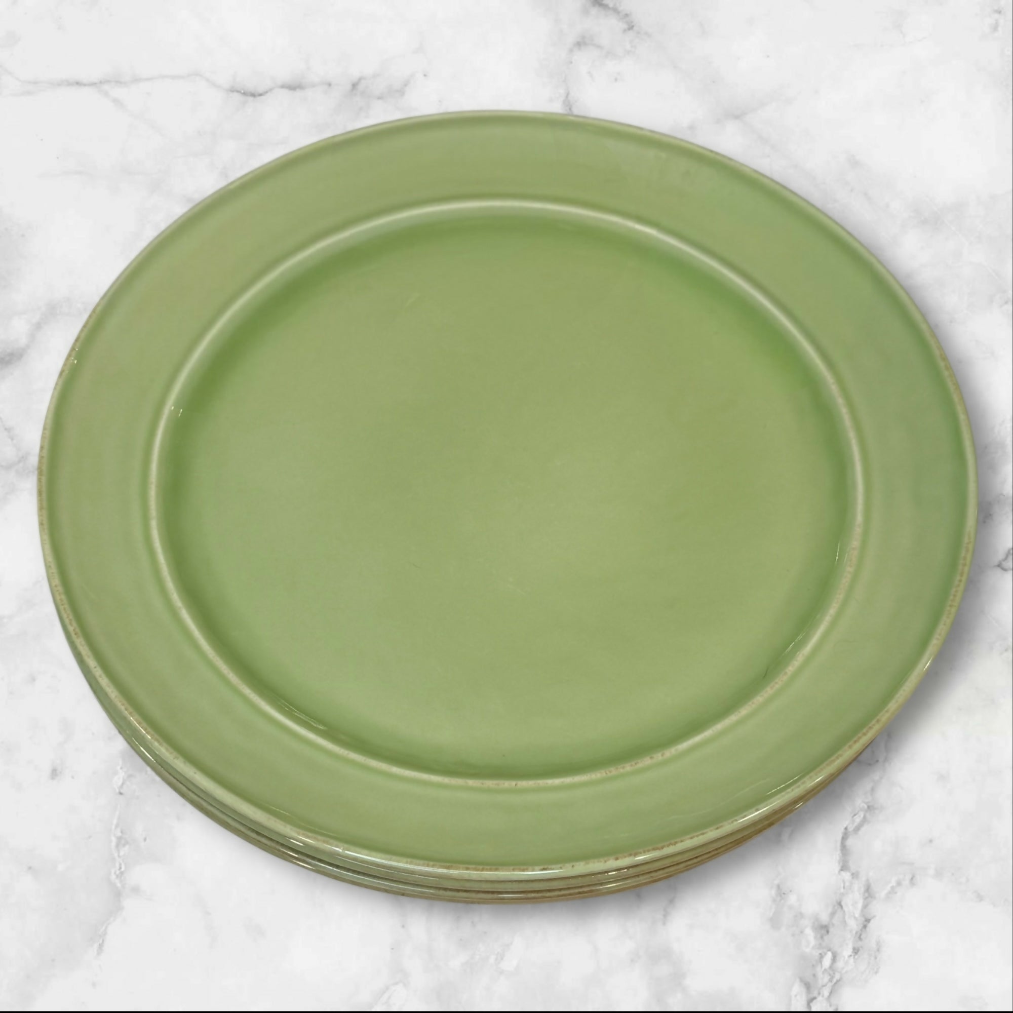 Pottery Barn Cambria Mint Dinner Plates | Set of 4 | Excellent Condition