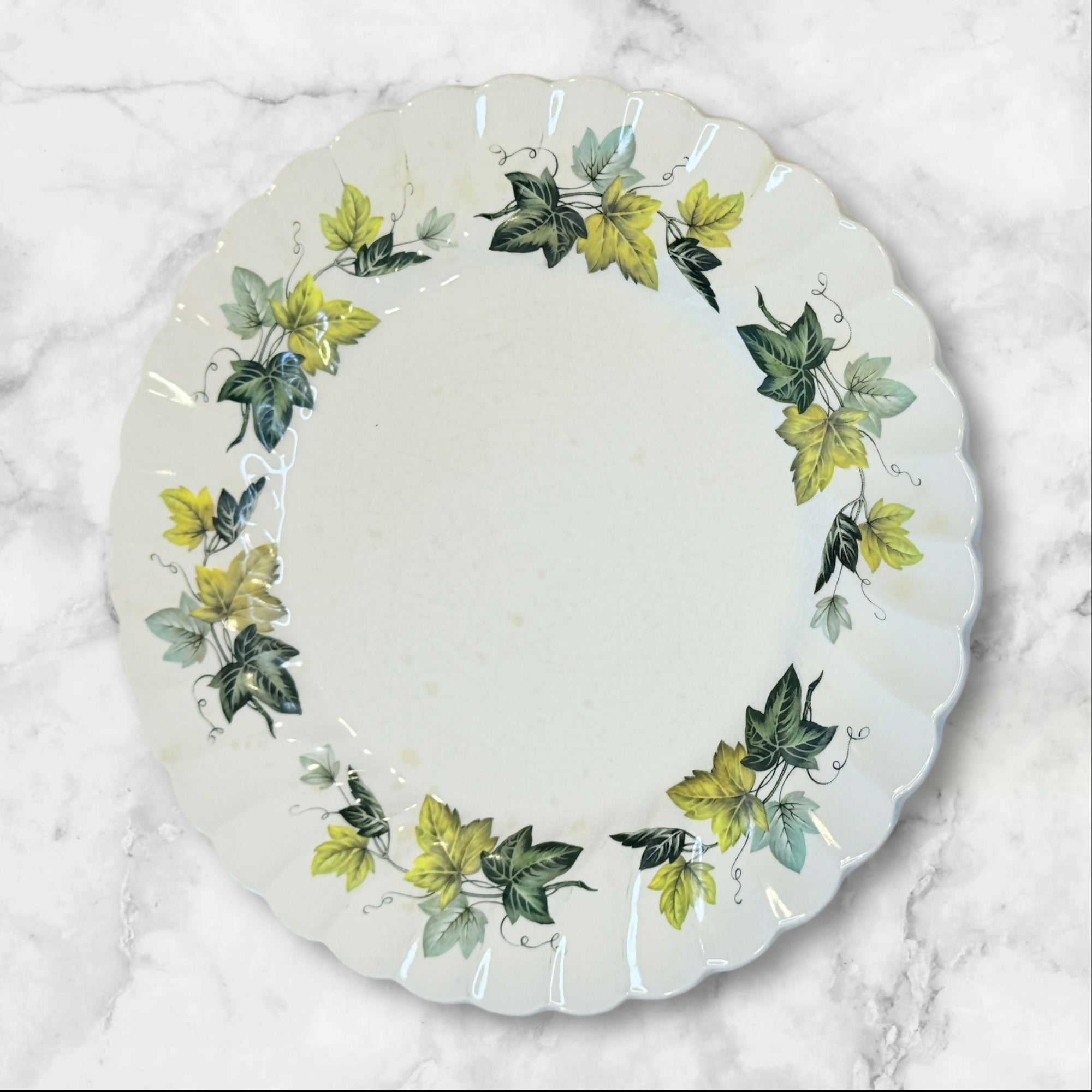 Myott Staffordshire Evergreen Dinner Plates | Set of 7 | Vintage