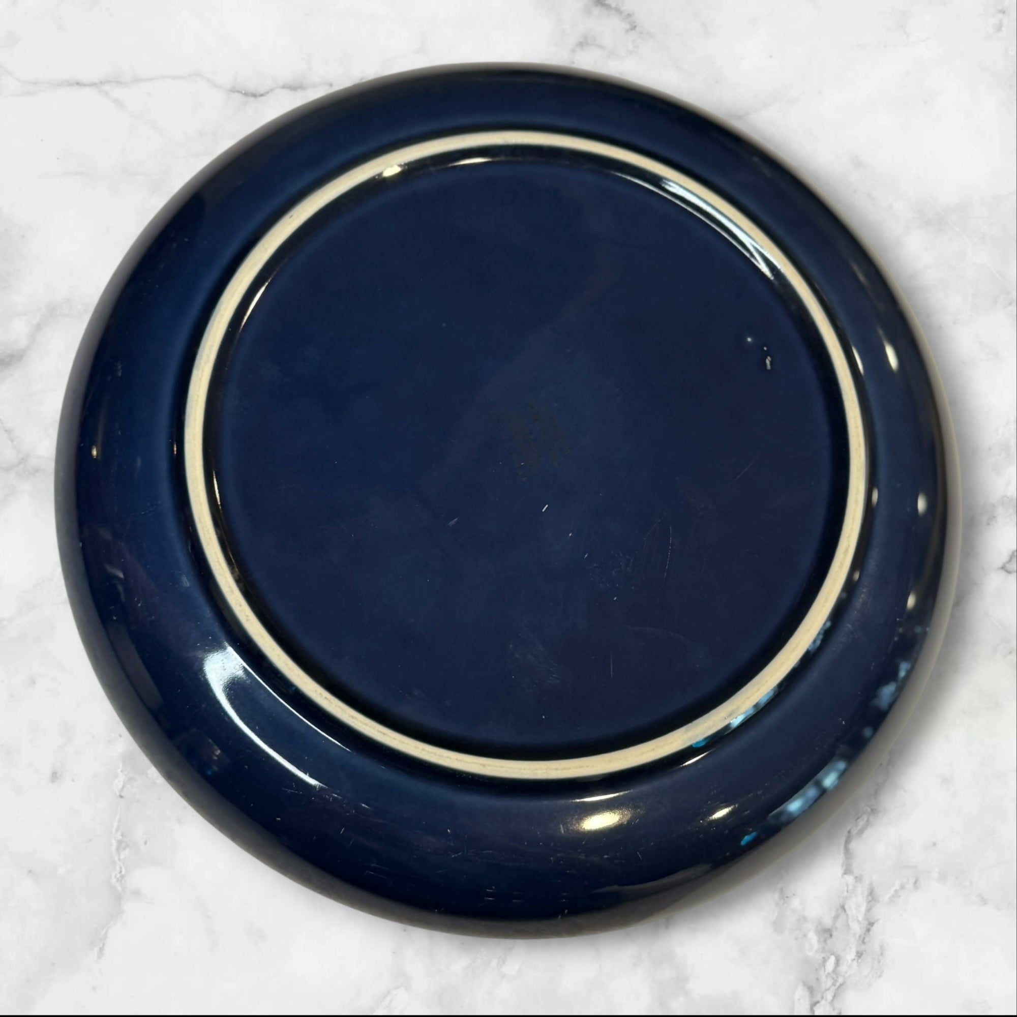 Pottery Barn Joshua Blue Dinner Plates | Set of 6 | Gently Used
