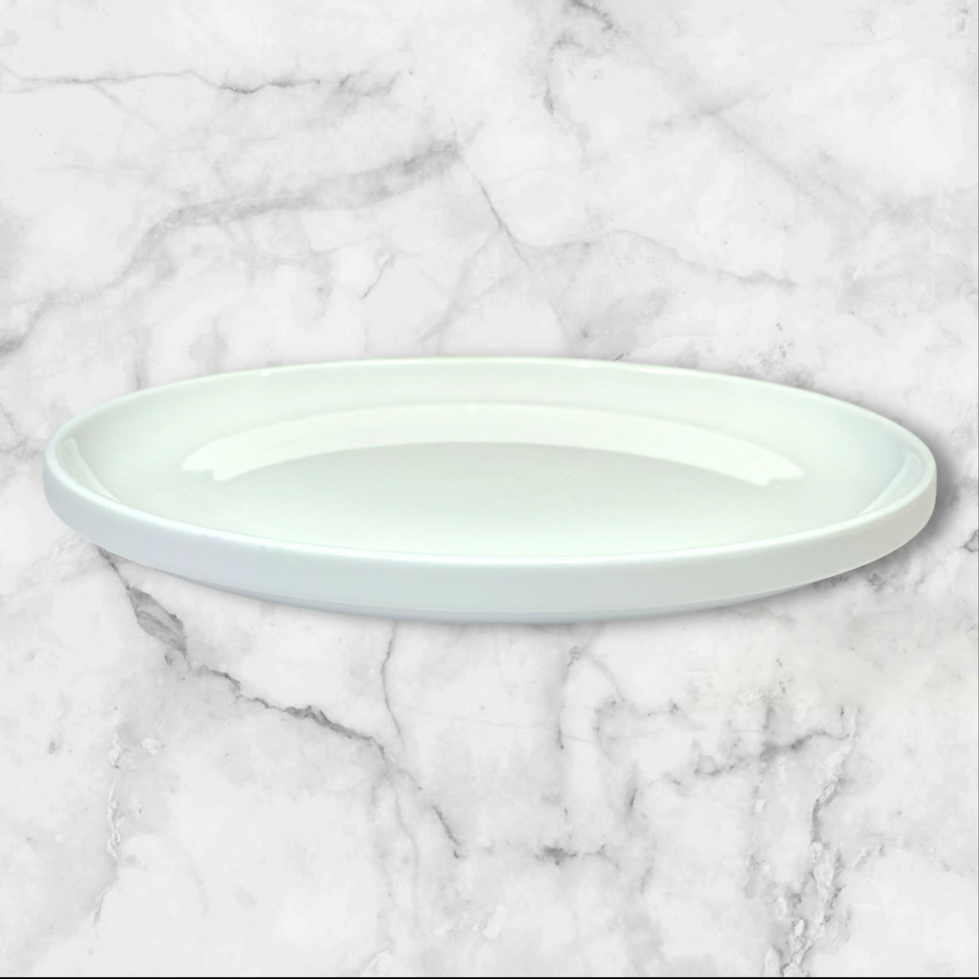 Crate & Barrel Raised Rim Dinner Plates | White Stoneware | Set of 5 | Good Condition