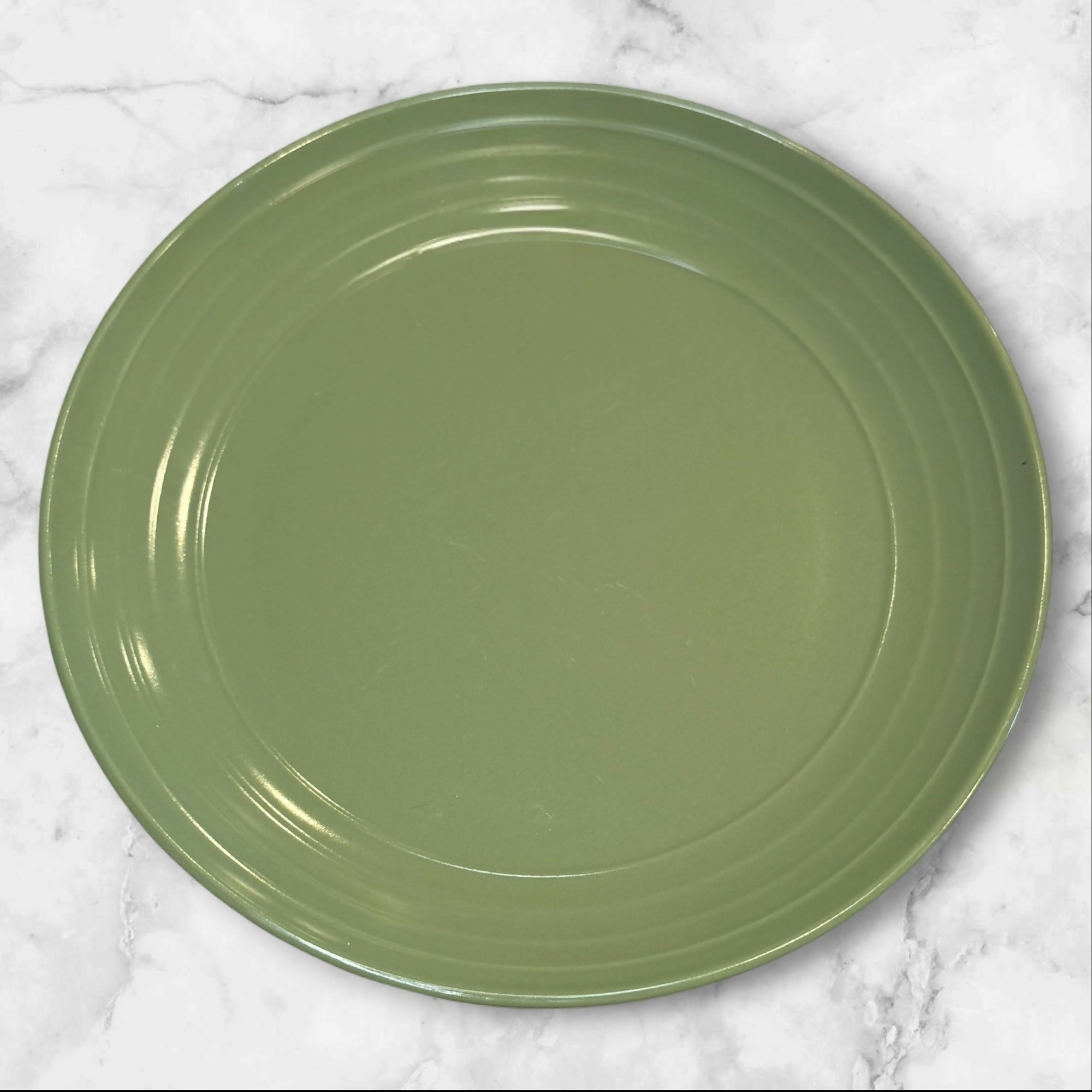 Pier 1 Essentials Sage Green Dinner Plates | Set of 4 | Great Condition