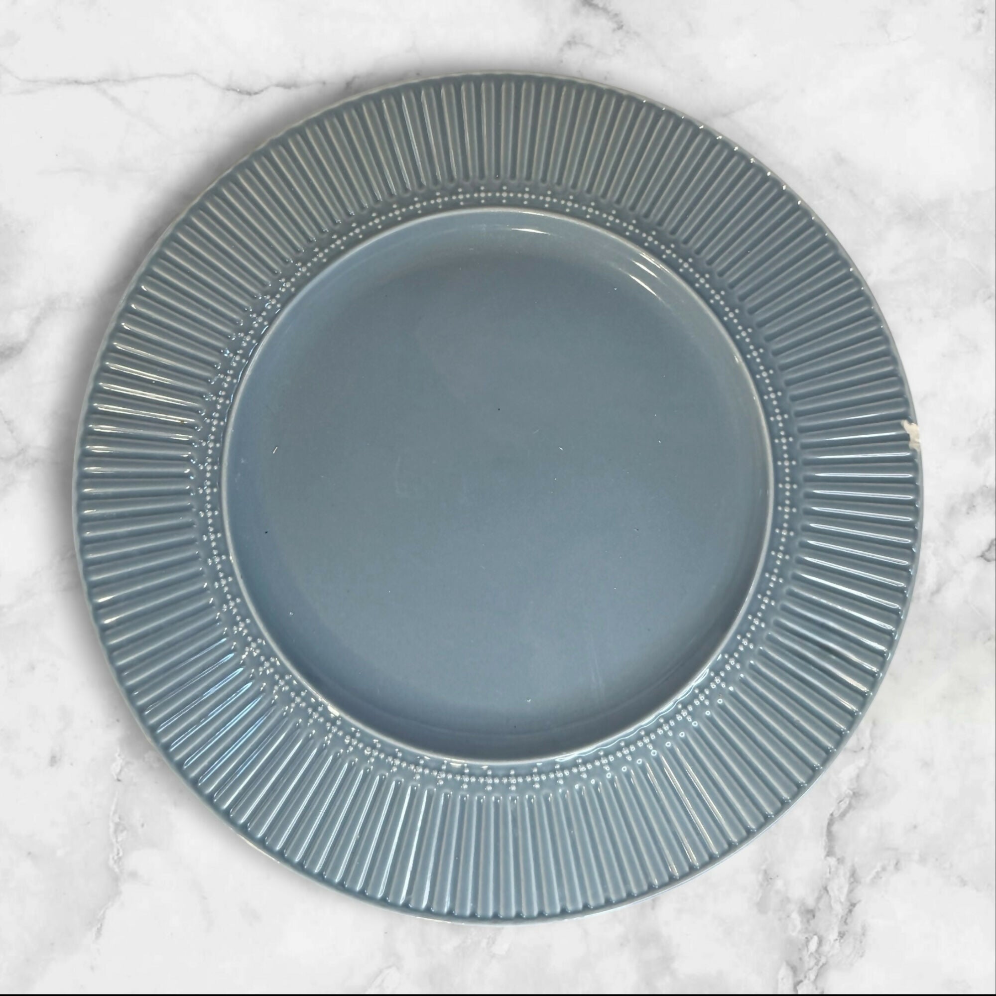 Mikasa Italian Countryside Accents Blue Dinner Plates Set of 4 | Gently Used