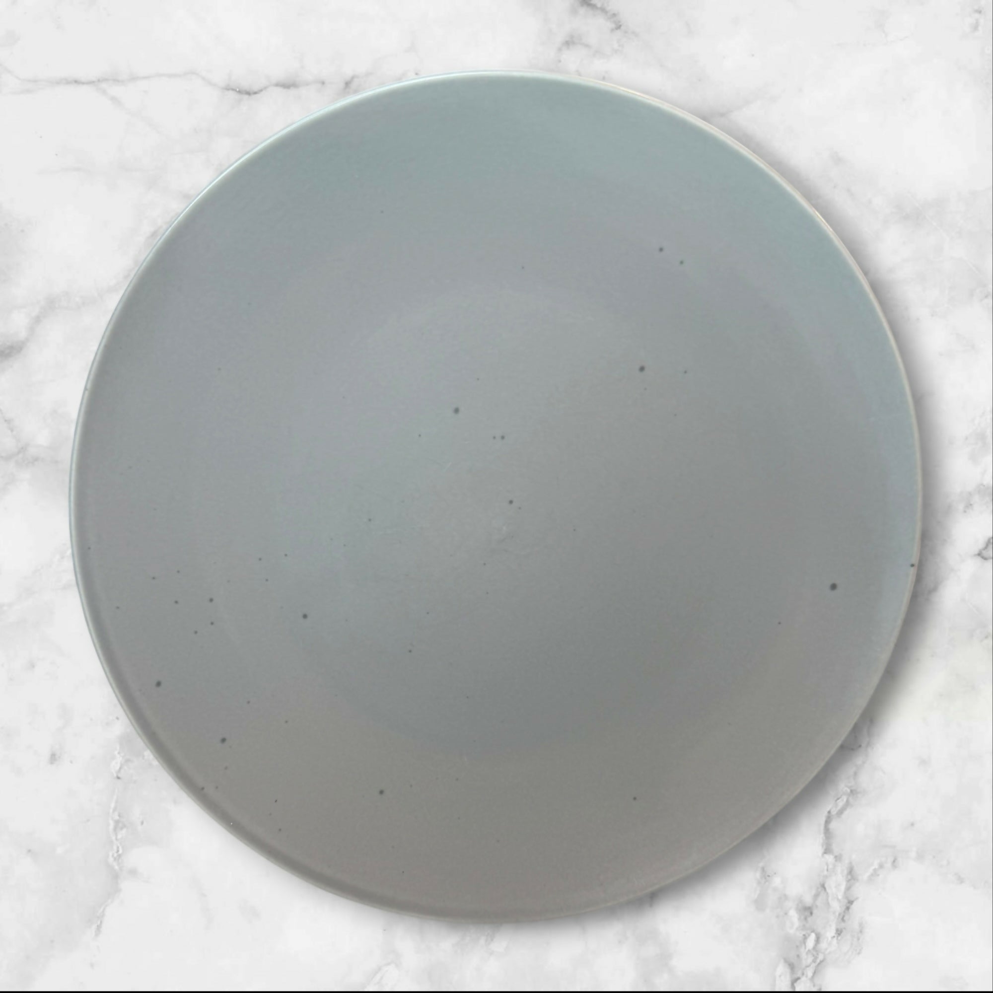 Pier 1 Clayton Speckled Stone Dinner Plates Set of 5 Great Condition