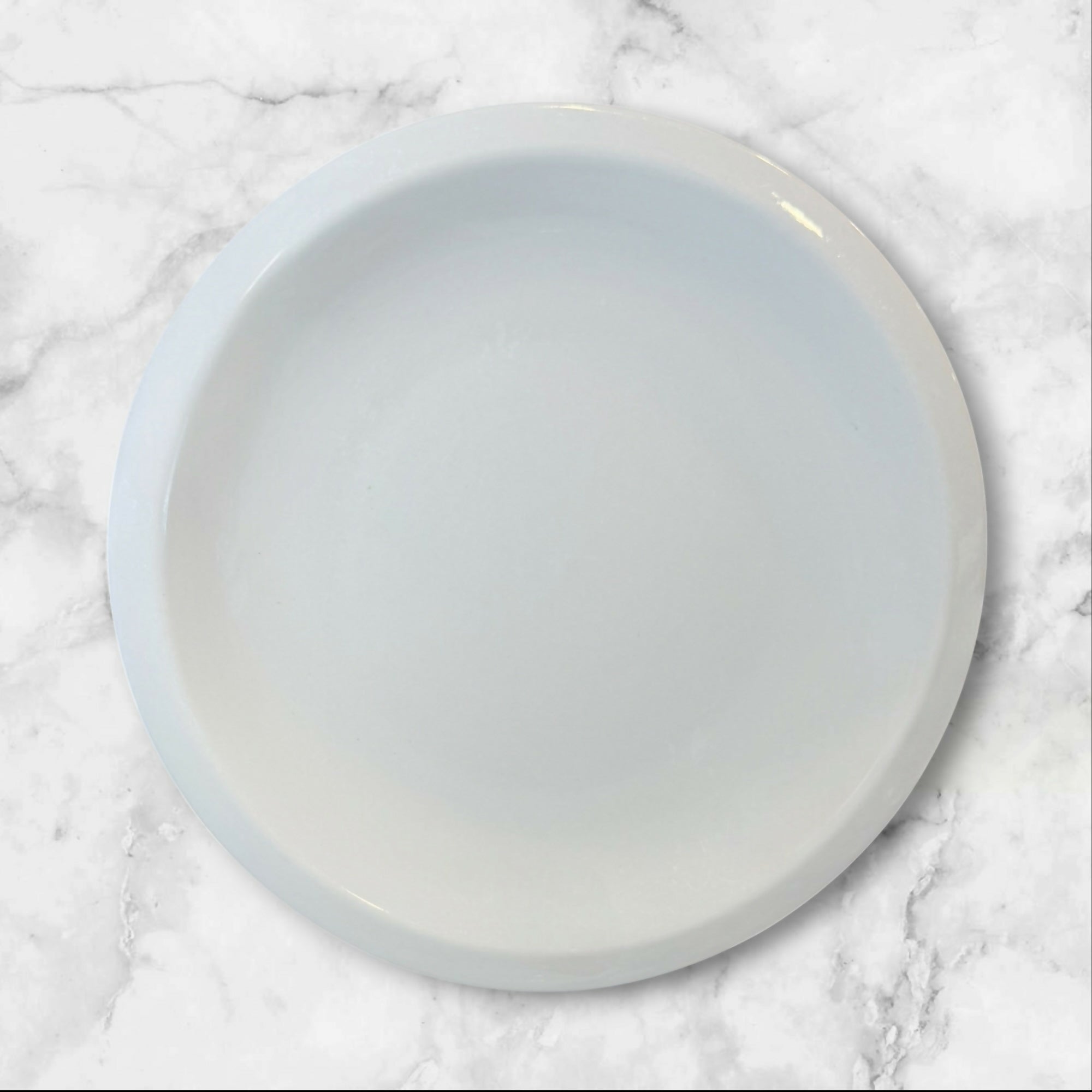 CulinaryArts Raised Rim Dinner Plates | Set of 3 | Excellent Condition