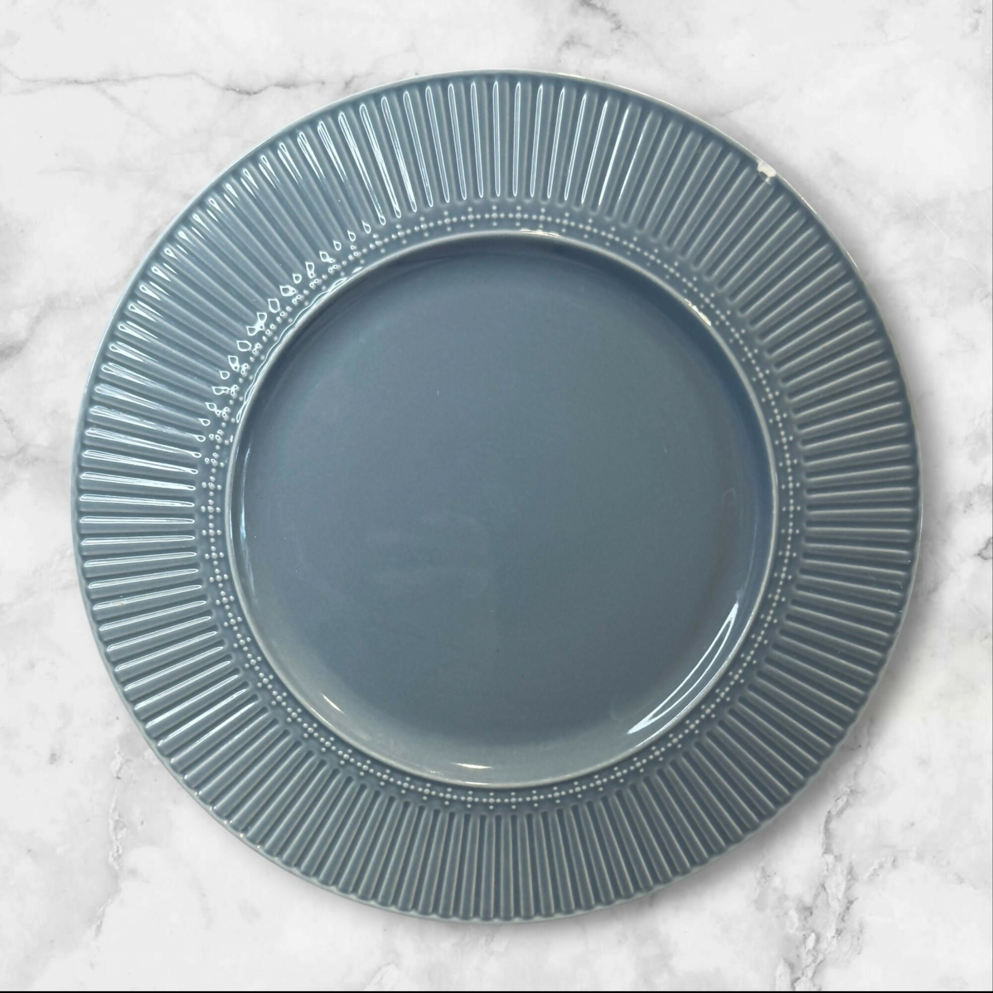 Mikasa Italian Countryside Accents Blue Dinner Plates Set of 4 | Gently Used