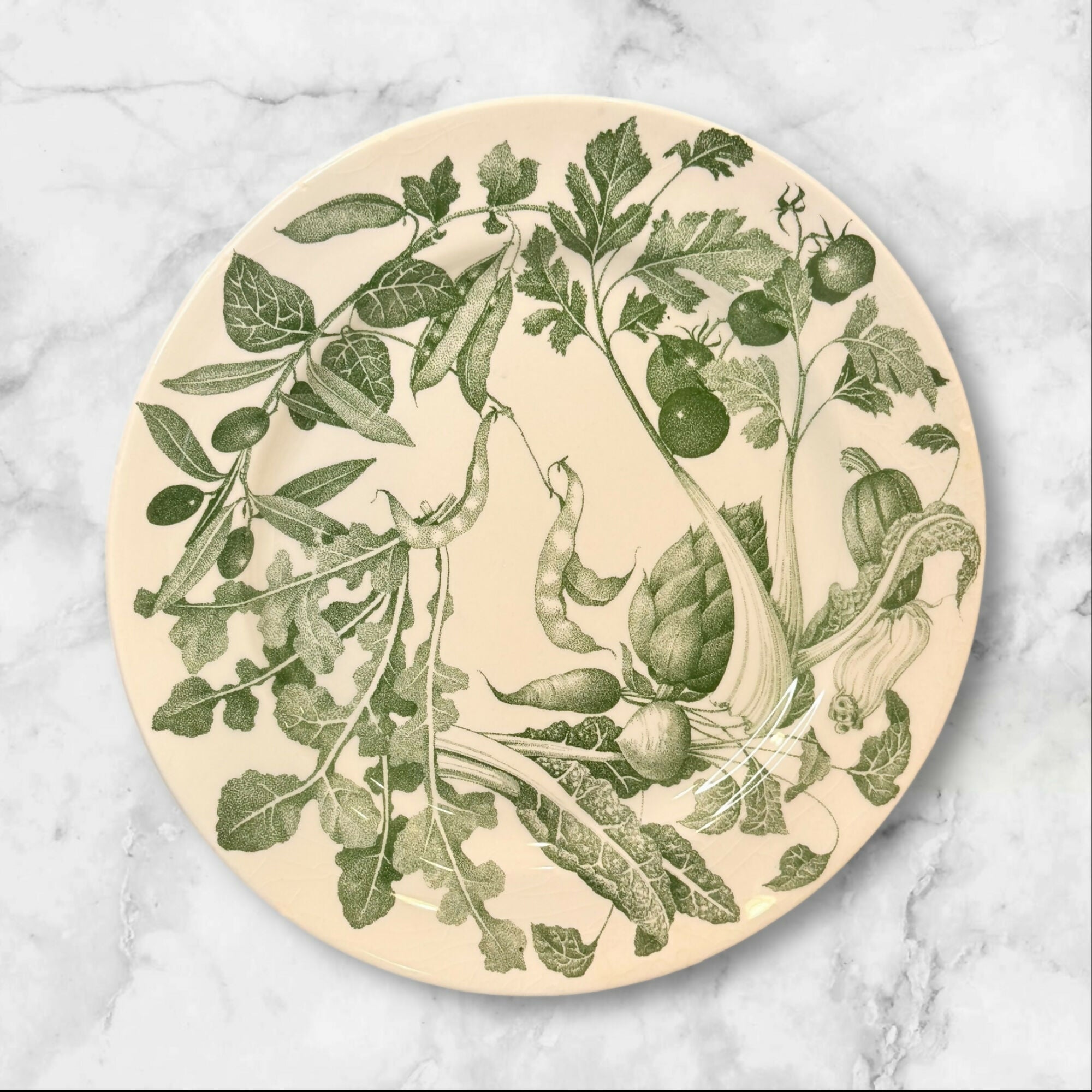 Primula Crate & Barrel Botanical Dinner Plates | Set of 4 | Good Condition