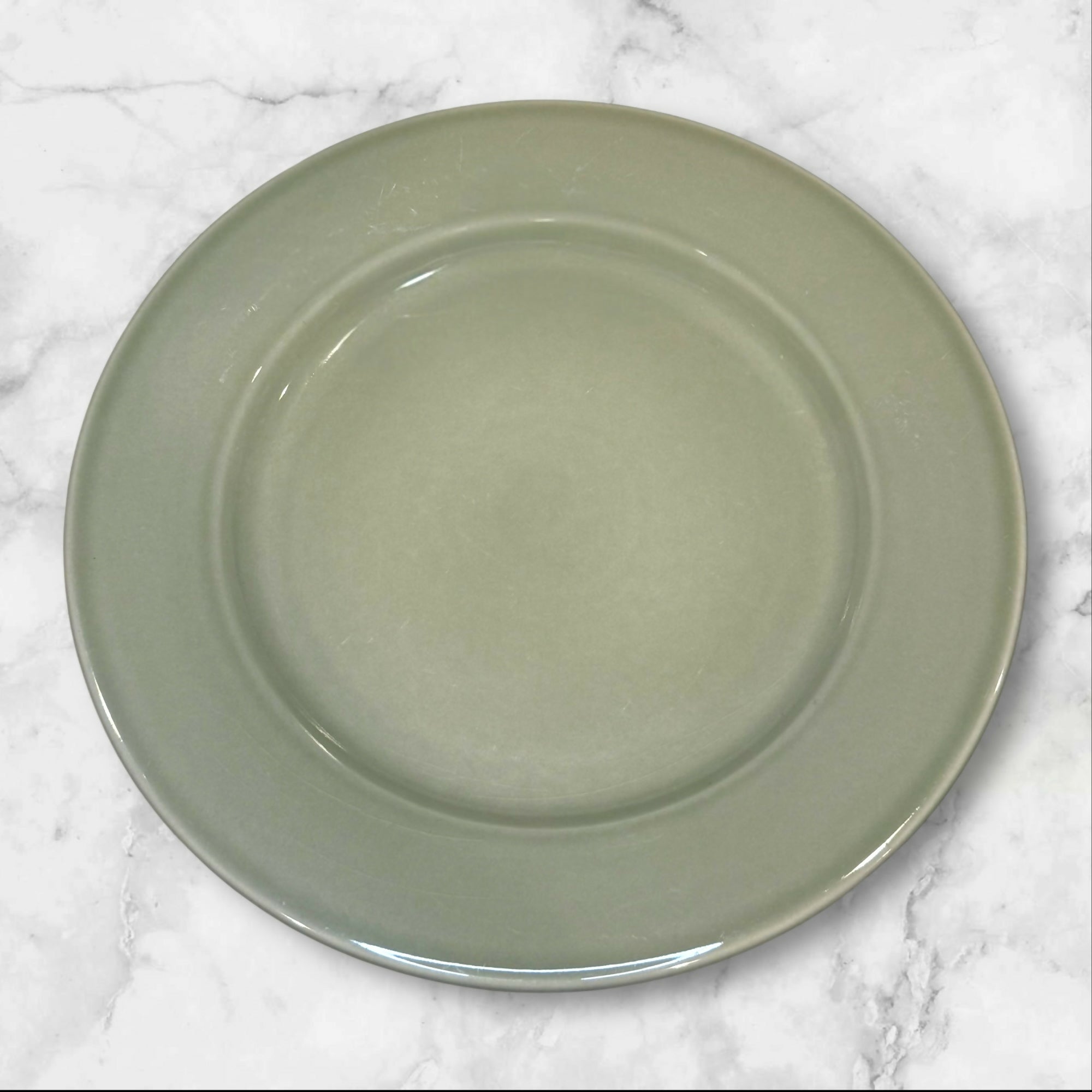 Williams Sonoma Belvedere Sage Dinner Plates | Set of 4 | Great Condition