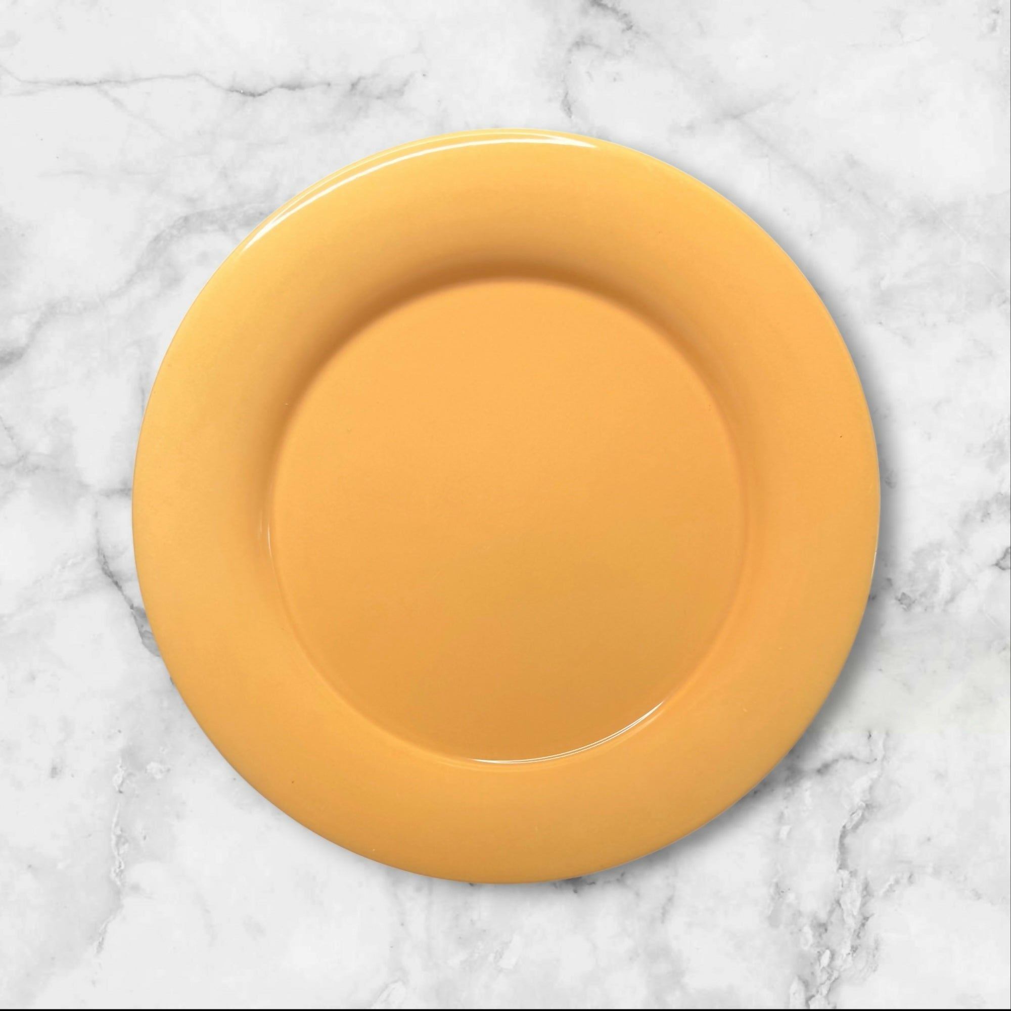 Franciscan Sandman Dinner Plates | Set of 4 | Excellent Condition