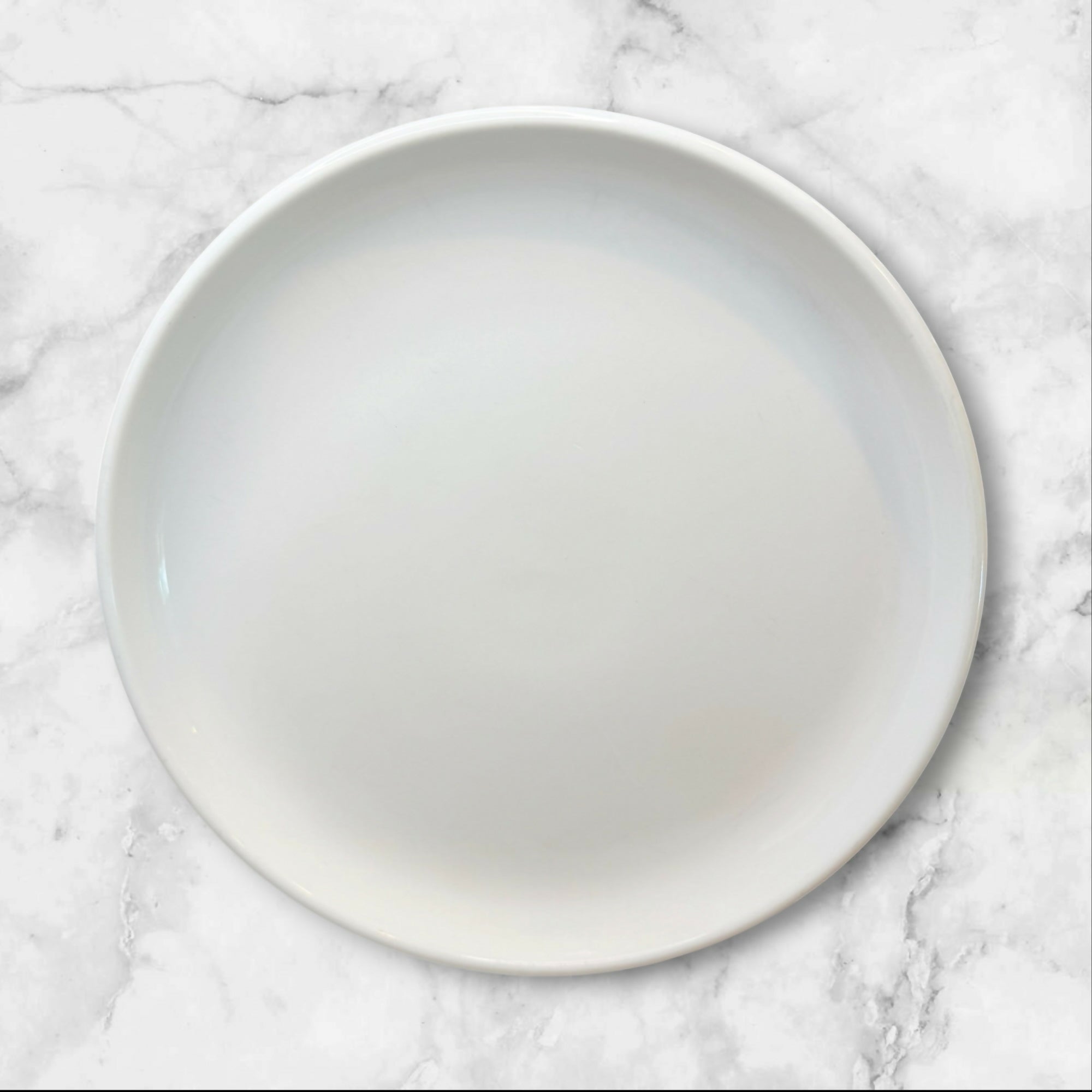 Crate & Barrel Culinary Arts Porcelain Dinner Plates | Set of 4 | Great Condition