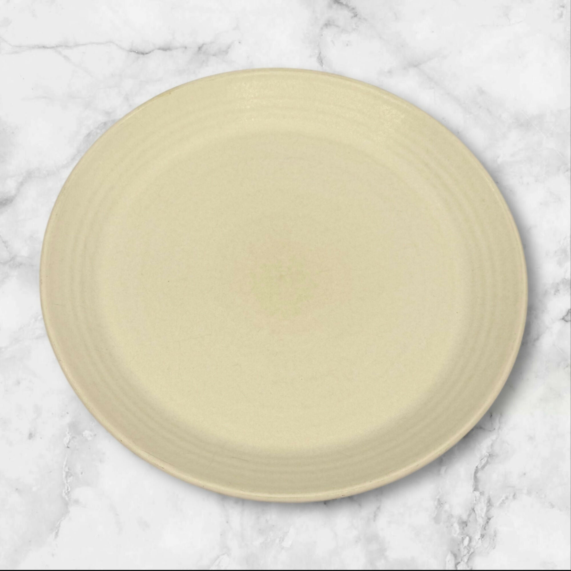Pottery Barn Larkin Dinner Plates | Set of 4 | Great Condition
