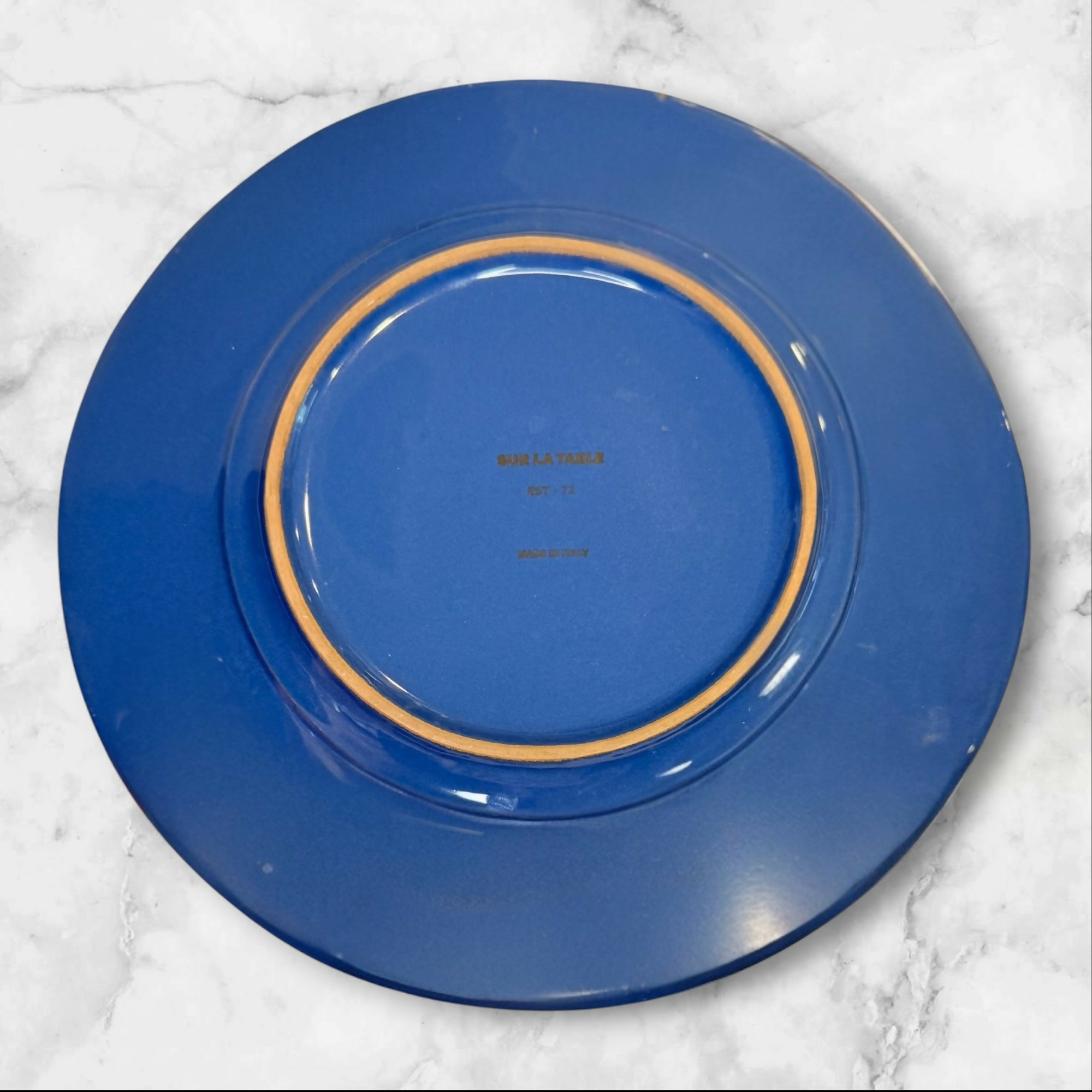 Sur La Table Italian Blue Dinner Plates Set of 4 | Made in Italy | Good Condition