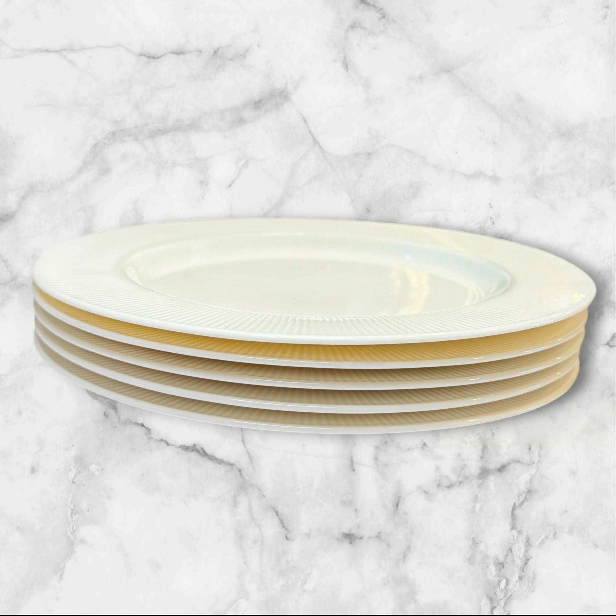 IKEA OFANTLIG Dinner Plates Set of 5 | Made In Turkey | EUC