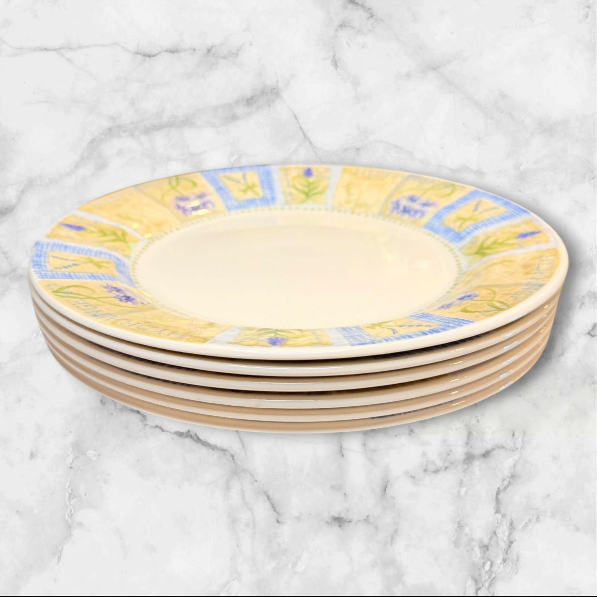 Pier 1 Hydrangea Dinner Plates | Set of 6 | Excellent Condition