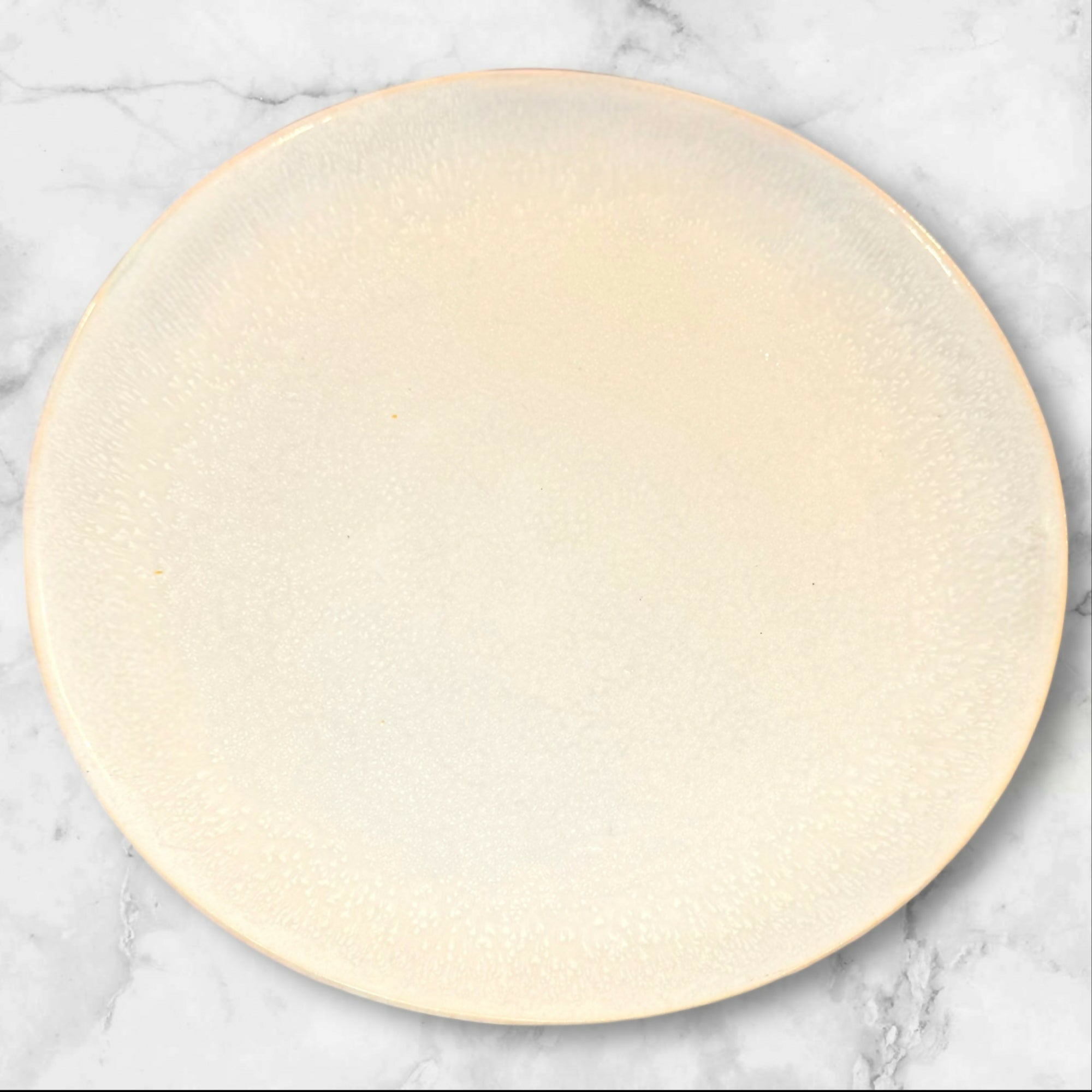 Williams Sonoma Cyprus Reactive Glaze Dinner Plates | Set of 4 | Excellent