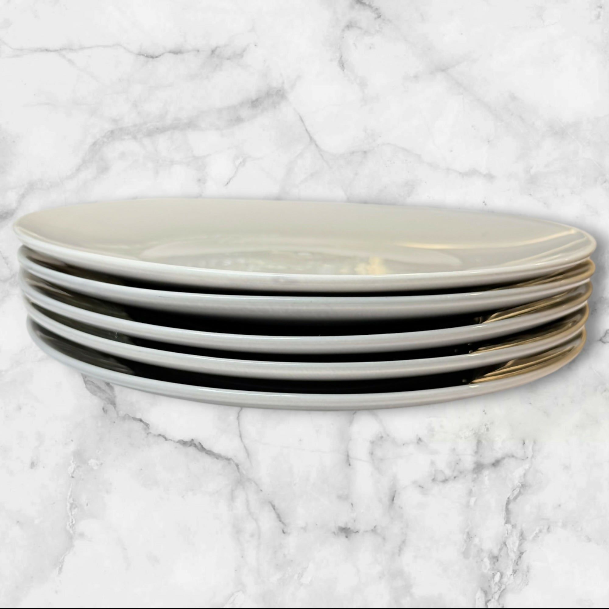 Pier 1 Clayton Speckled Stone Dinner Plates Set of 5 Great Condition