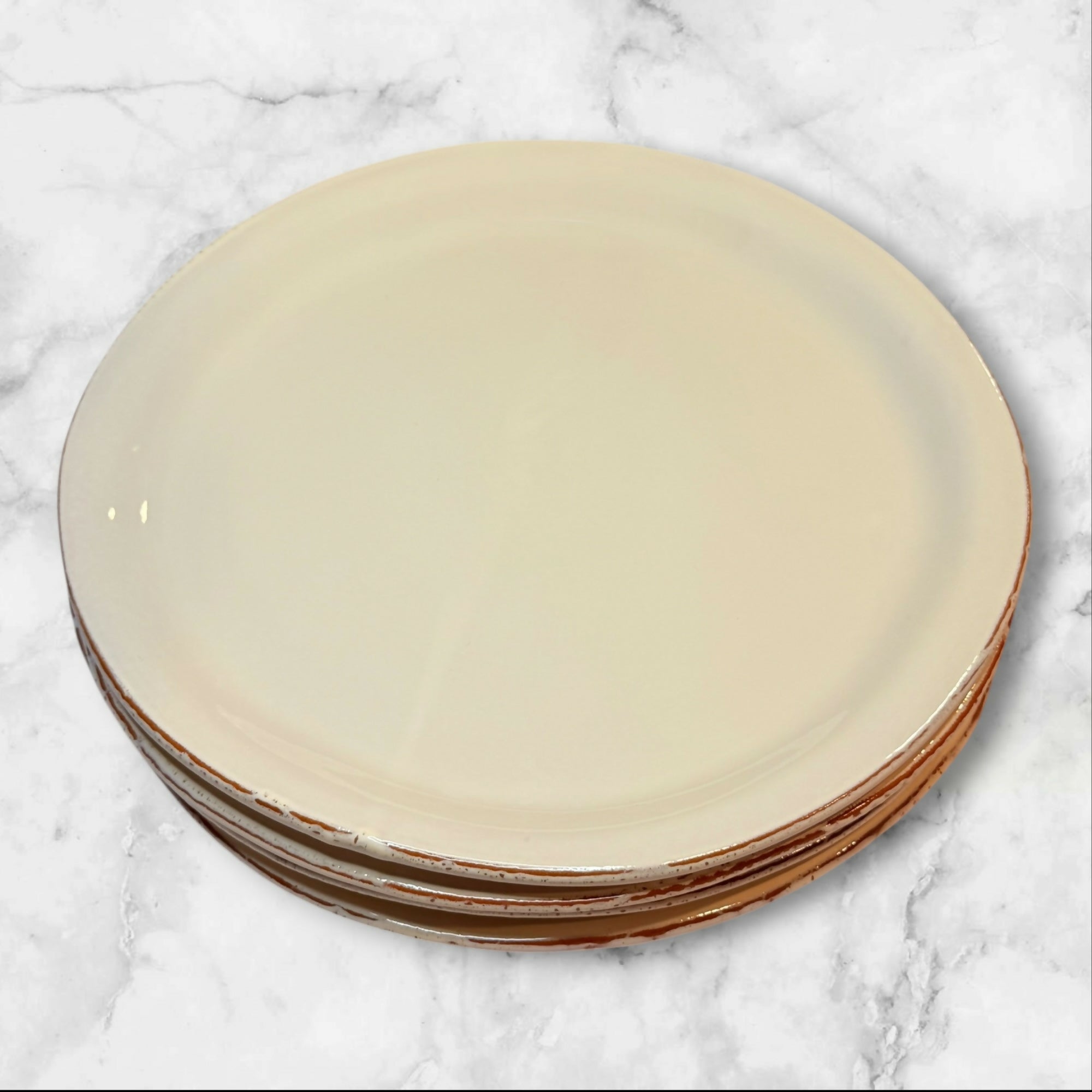 Vietri Italian Terracotta Rim Dinner Plates | Set of 3 | Excellent Condition