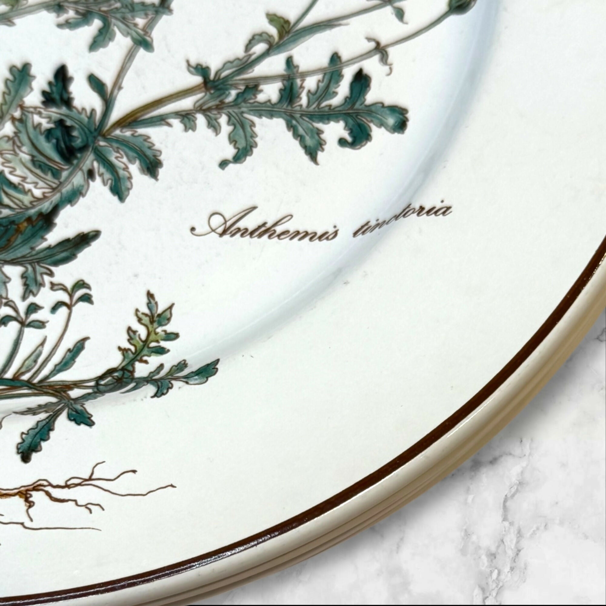 Villeroy & Boch Botanica Salad Plates Set of 4 | Great Condition