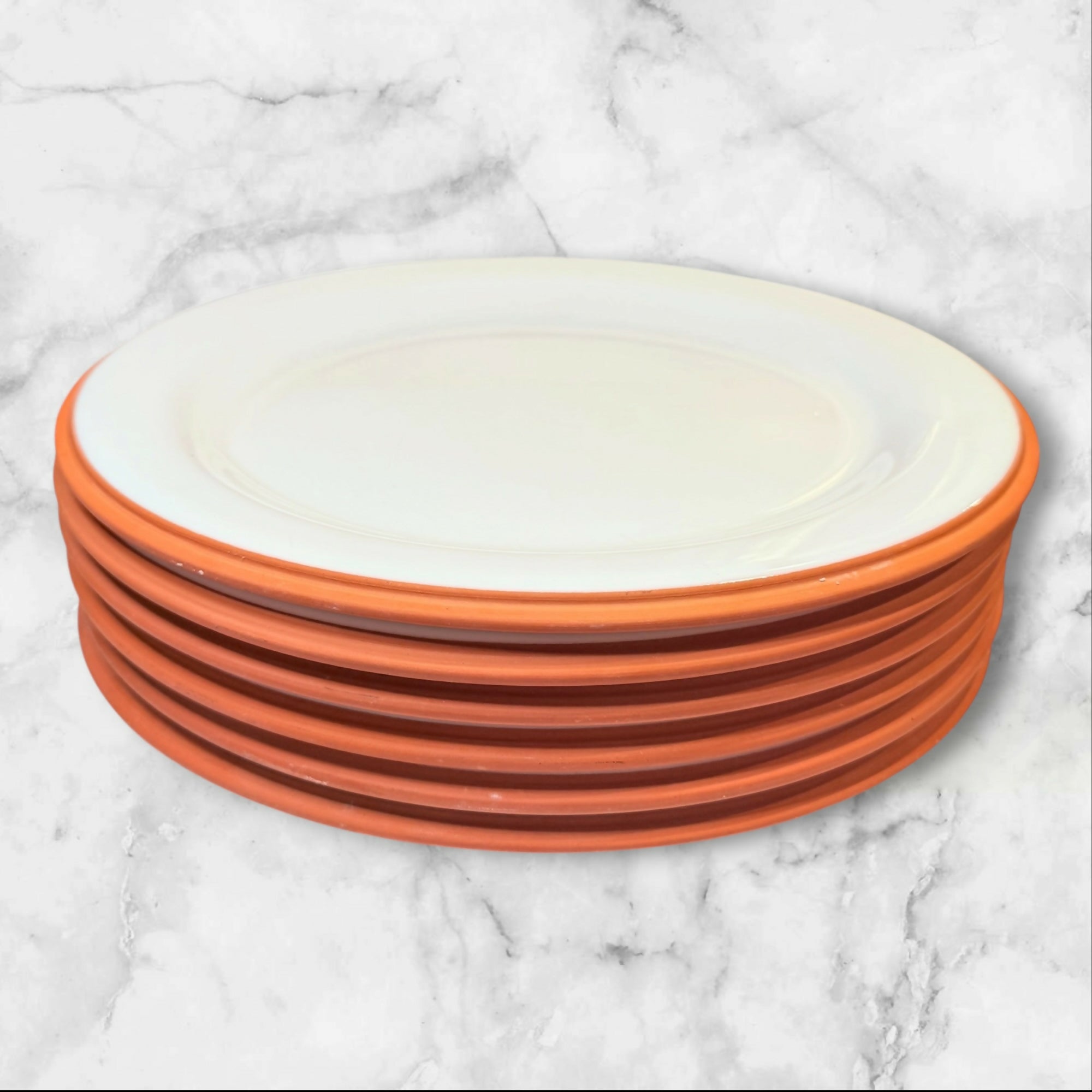 Cost Plus World Market Terracotta Rim Dinner Plates | Set of 6 | Great Condition