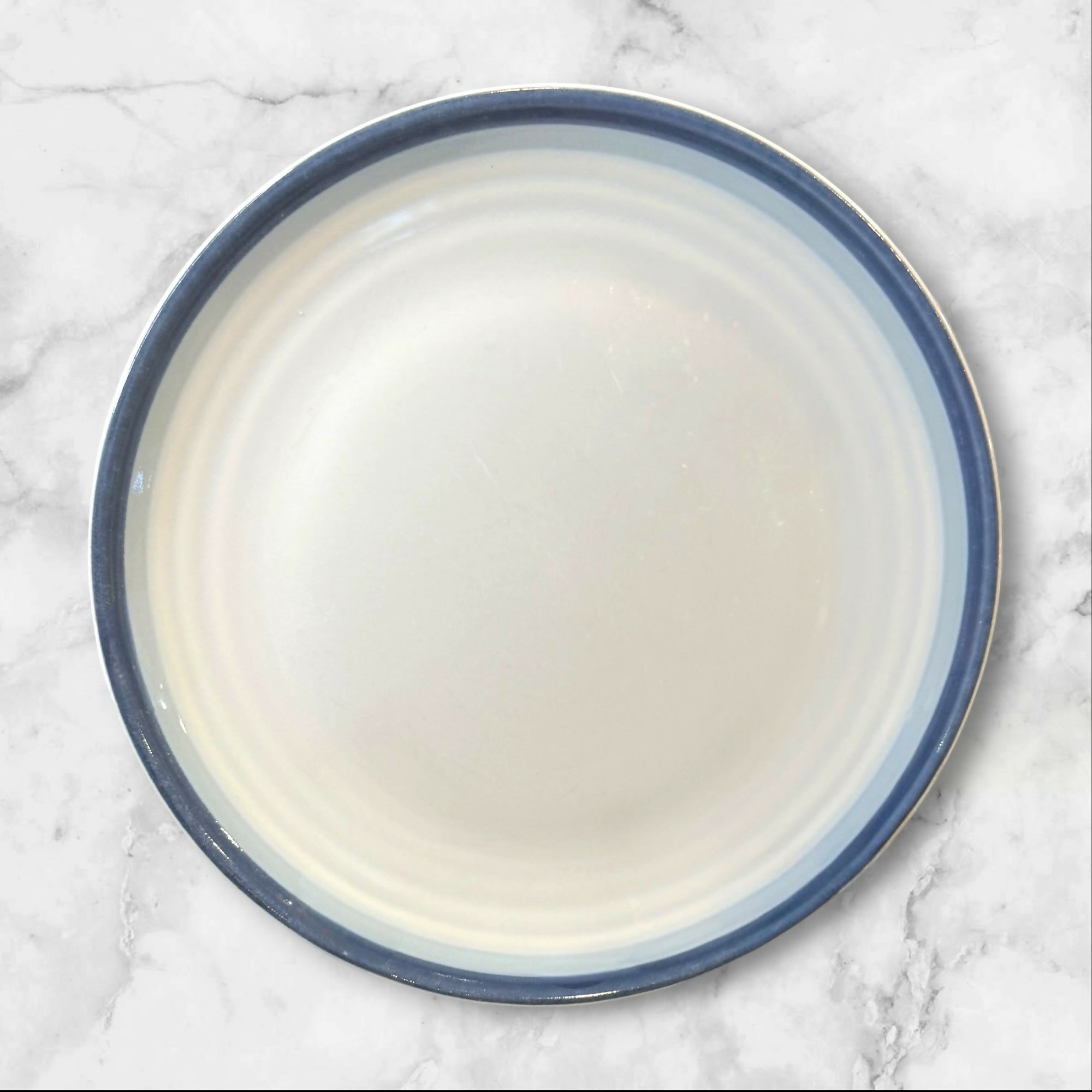 Pfaltzgraff Sky Dinner Plates | Set of 4 | Blue Rim | Great Condition