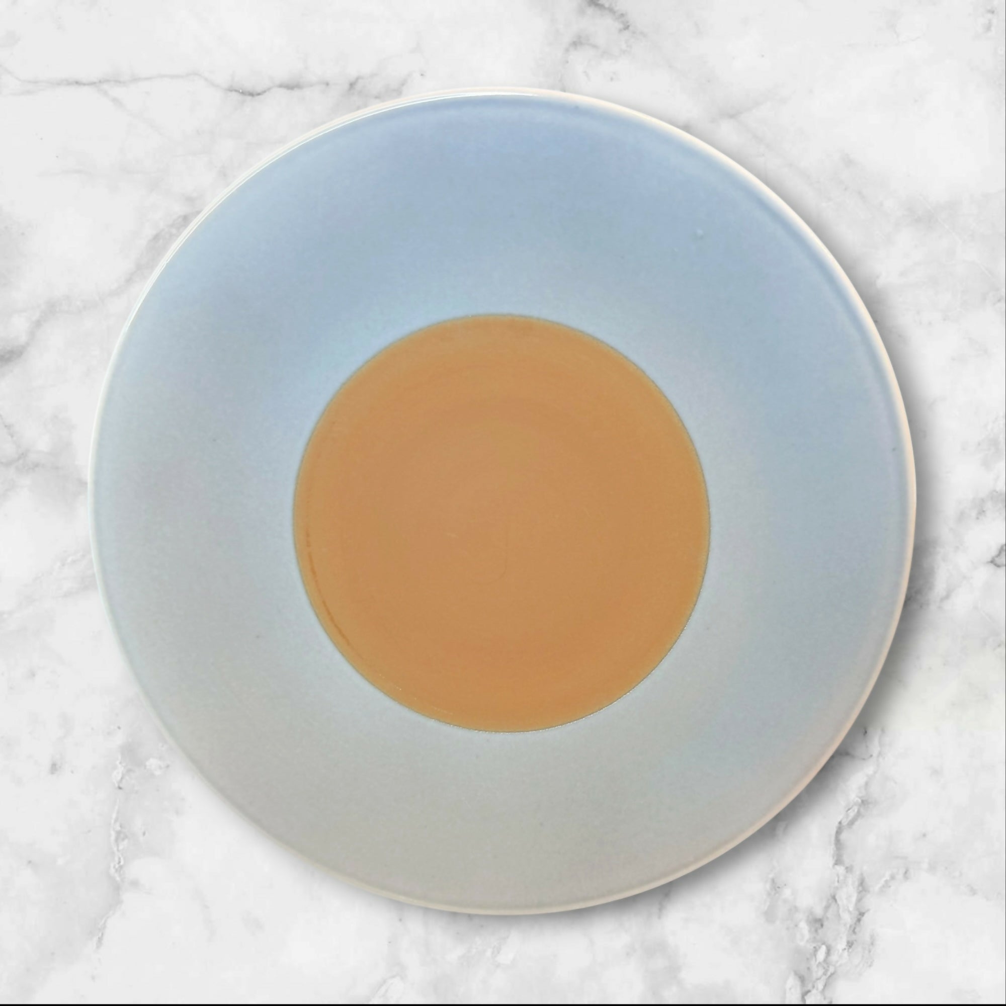 Luzerne Handcrafted Dinner Plates | Set of 6 | Excellent Condition
