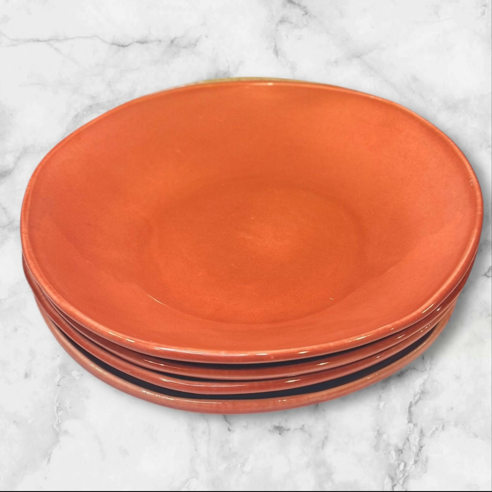 Pier 1 Terracotta Stoneware Pasta Bowls | Set of 4 | Excellent Condition