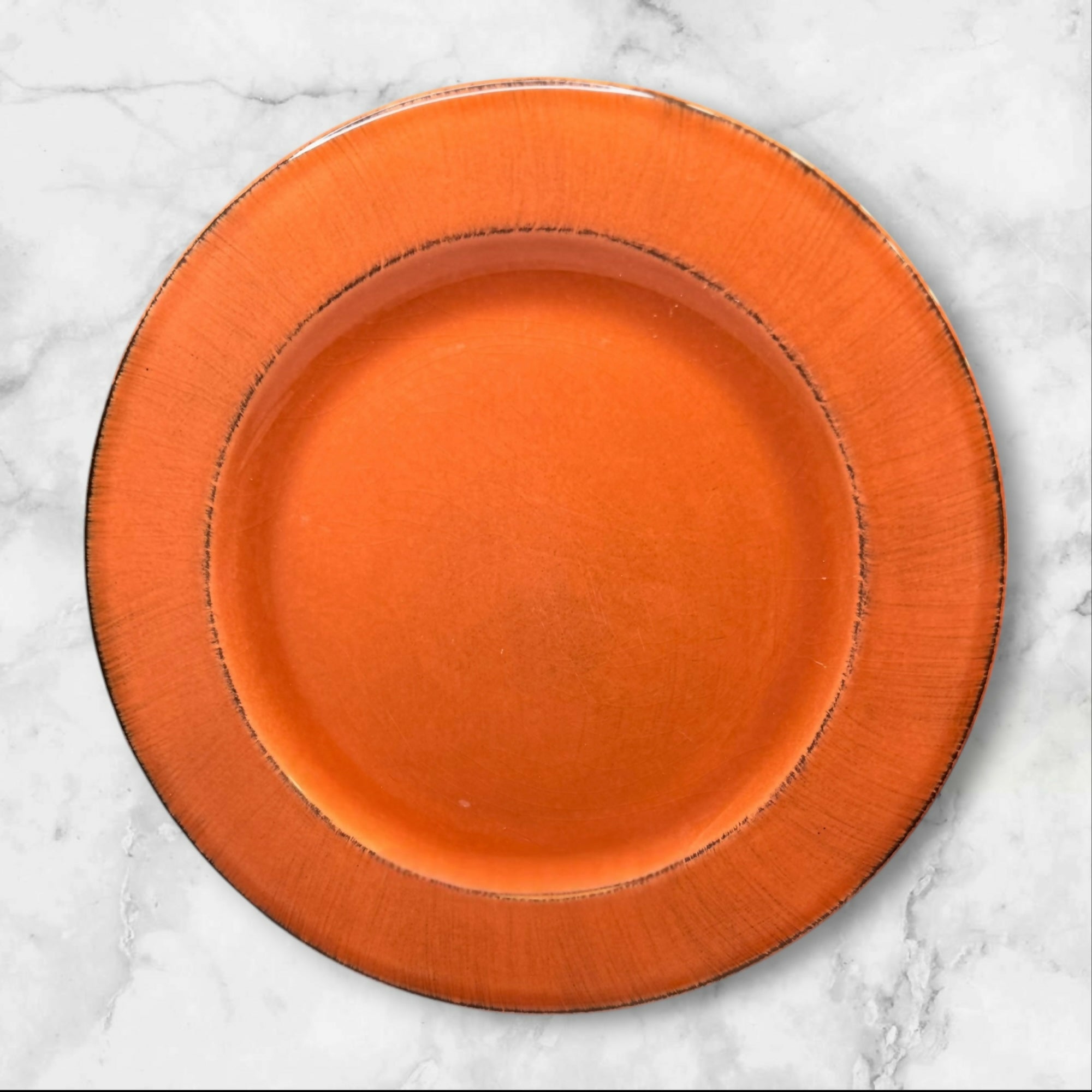 Pier 1 Toscana Terracotta Dinner Plates Made in Italy | Set of 4 | Good Condition