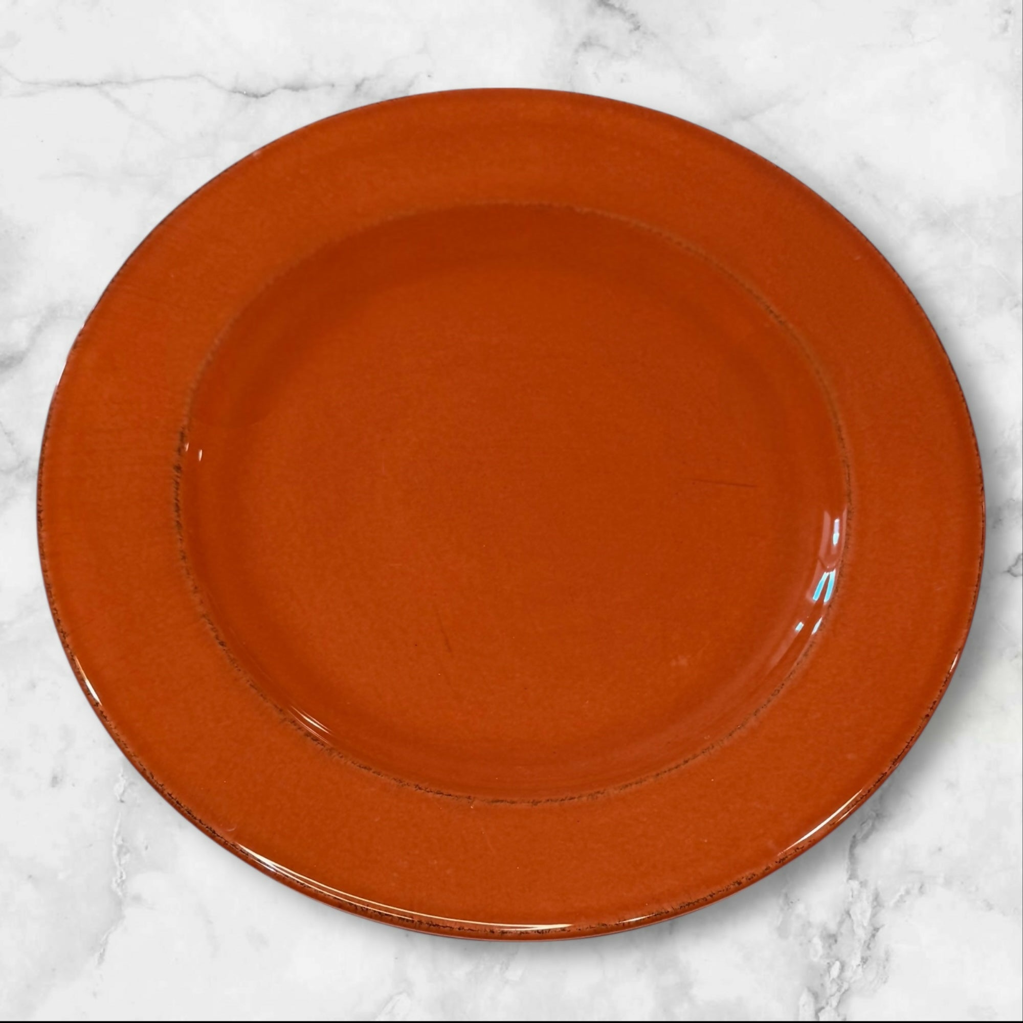 Pier 1 Toscana Terracotta Dinner Plates Set of 2 | Excellent Condition
