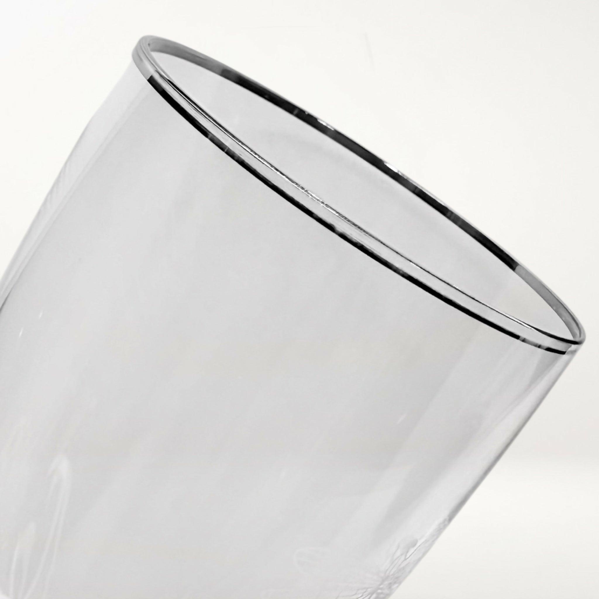 Kate Spade Lenox June Lane Iced Tea Glasses | Set of 2 | Gently Used