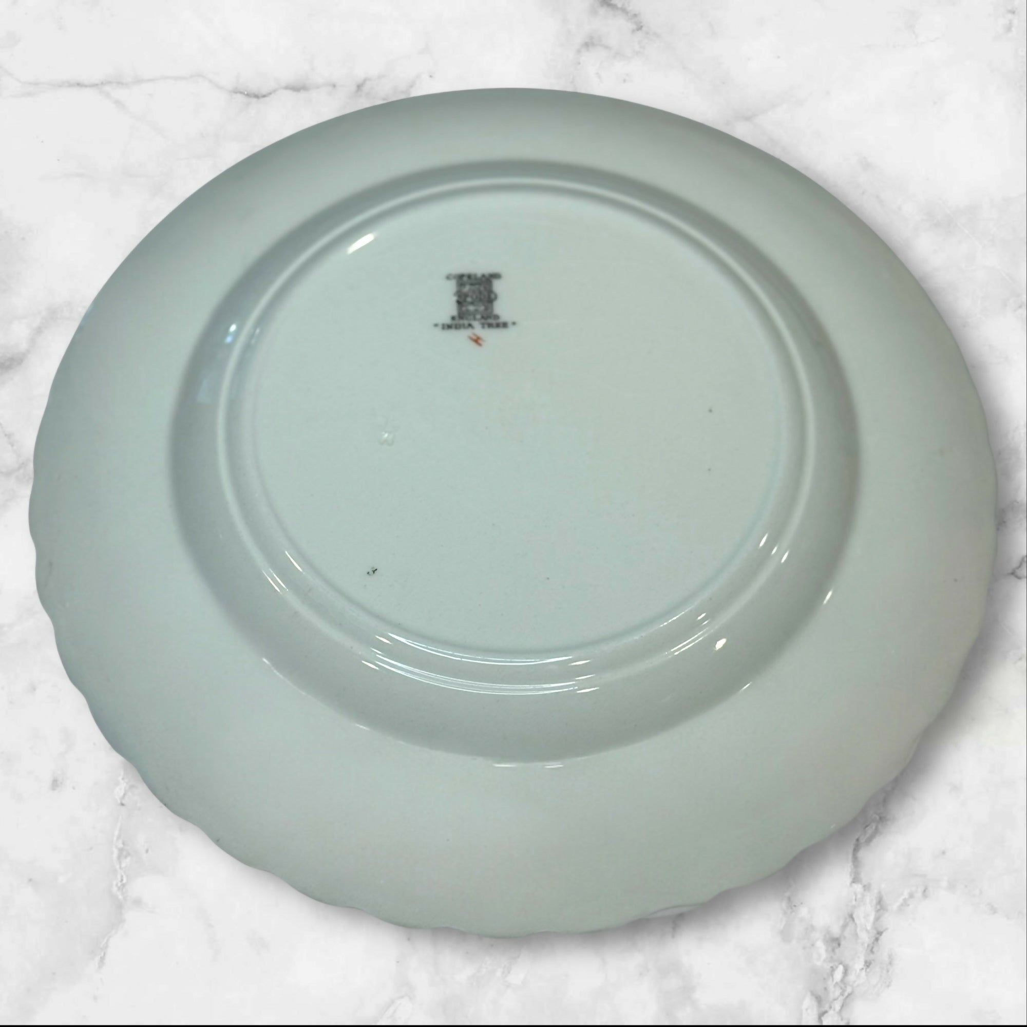 Spode Indian Tree Orange Rust Dinner Plates | Set of 2 | Great Condition
