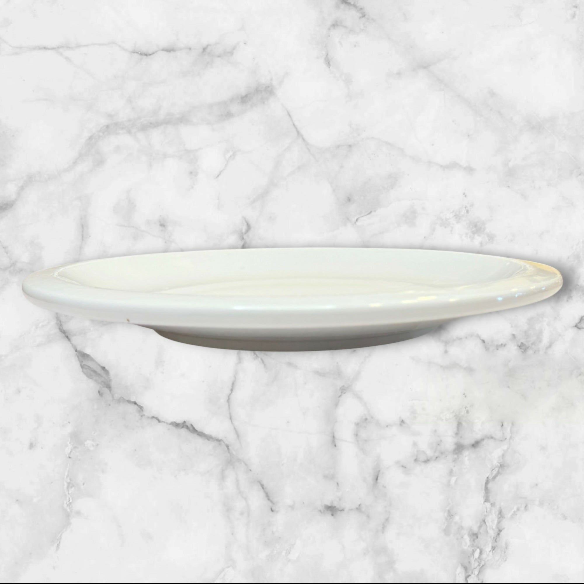 CulinaryArts Raised Rim Dinner Plates | Set of 3 | Excellent Condition