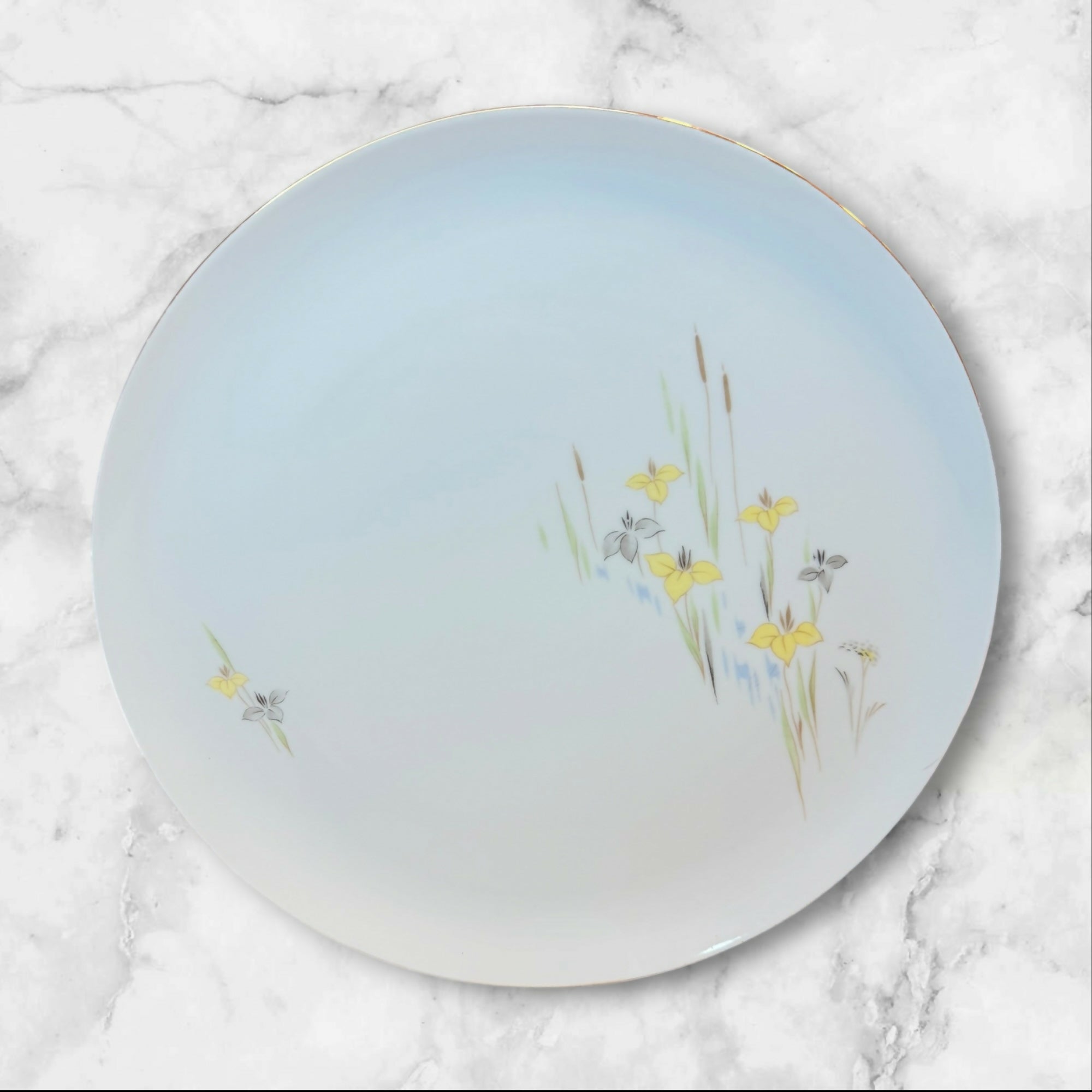 Eschenbach Baronet China Vivian Dinner Plates Set of 5 | Excellent Condition