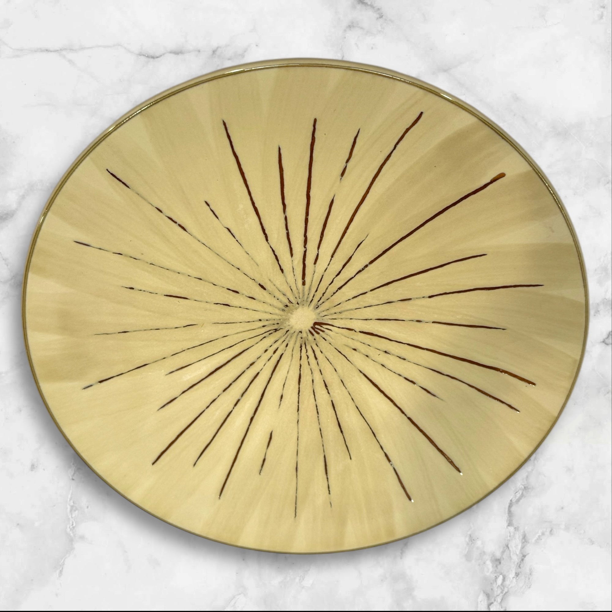 Pier 1 Sanctuary Dinner Plates | Set of 4 | Reactive Glaze | Great Condition