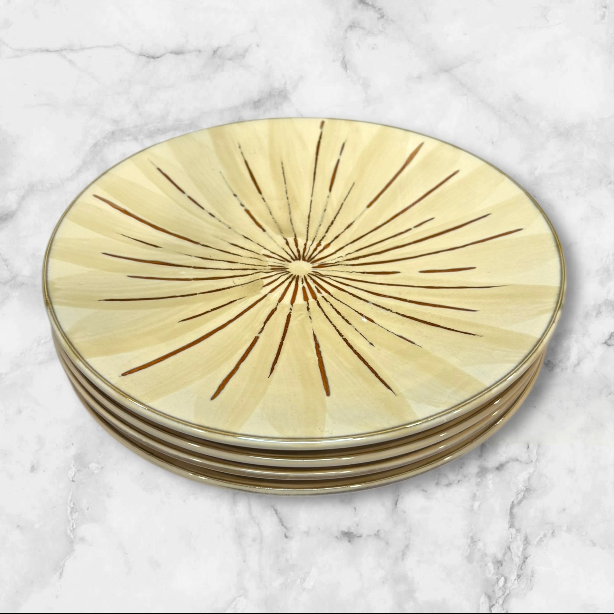 Pier 1 Sanctuary Dinner Plates | Set of 4 | Reactive Glaze | Great Condition