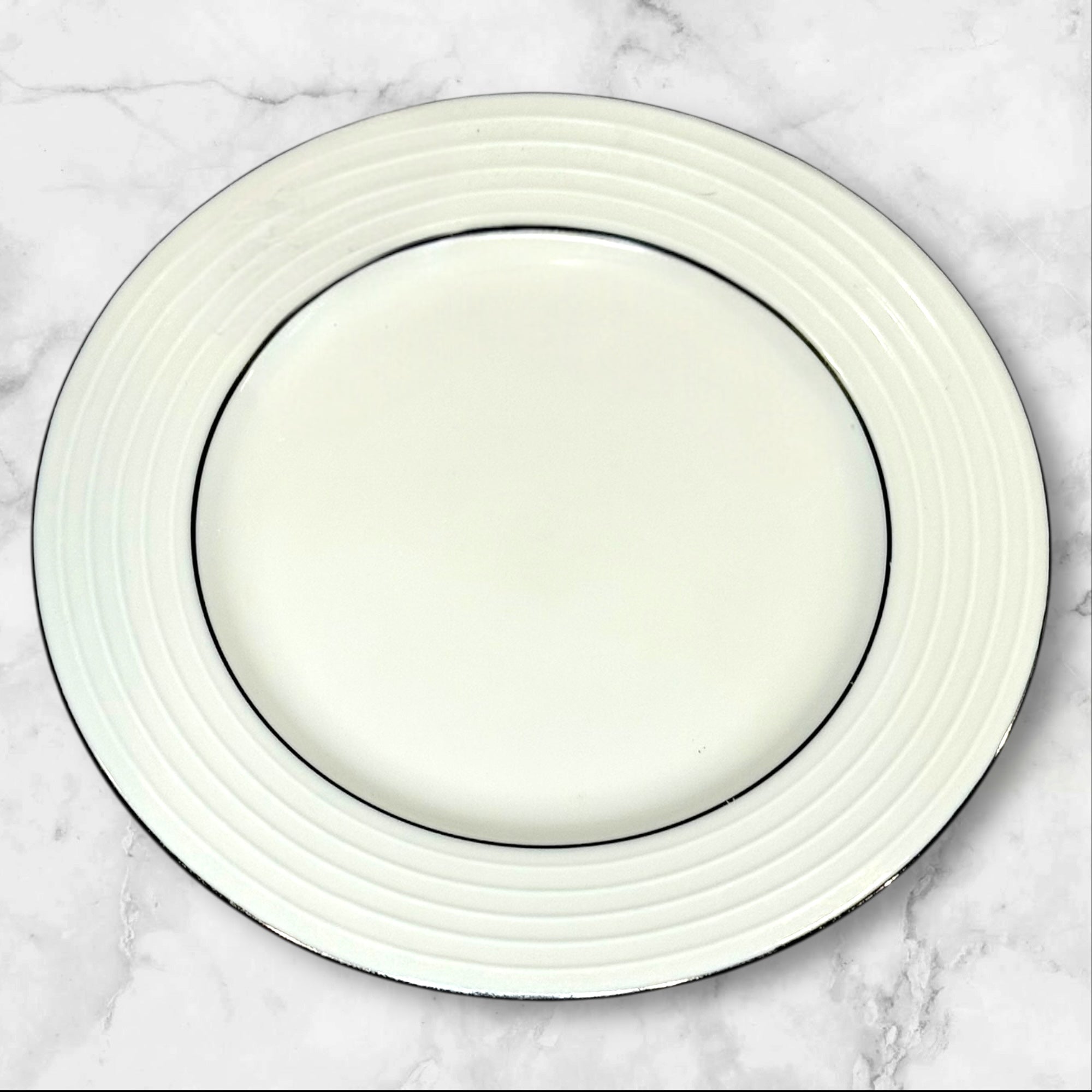 Pier 1 Silver Rings White Pasta Soup Bowls | Set of 4 | Excellent Condition