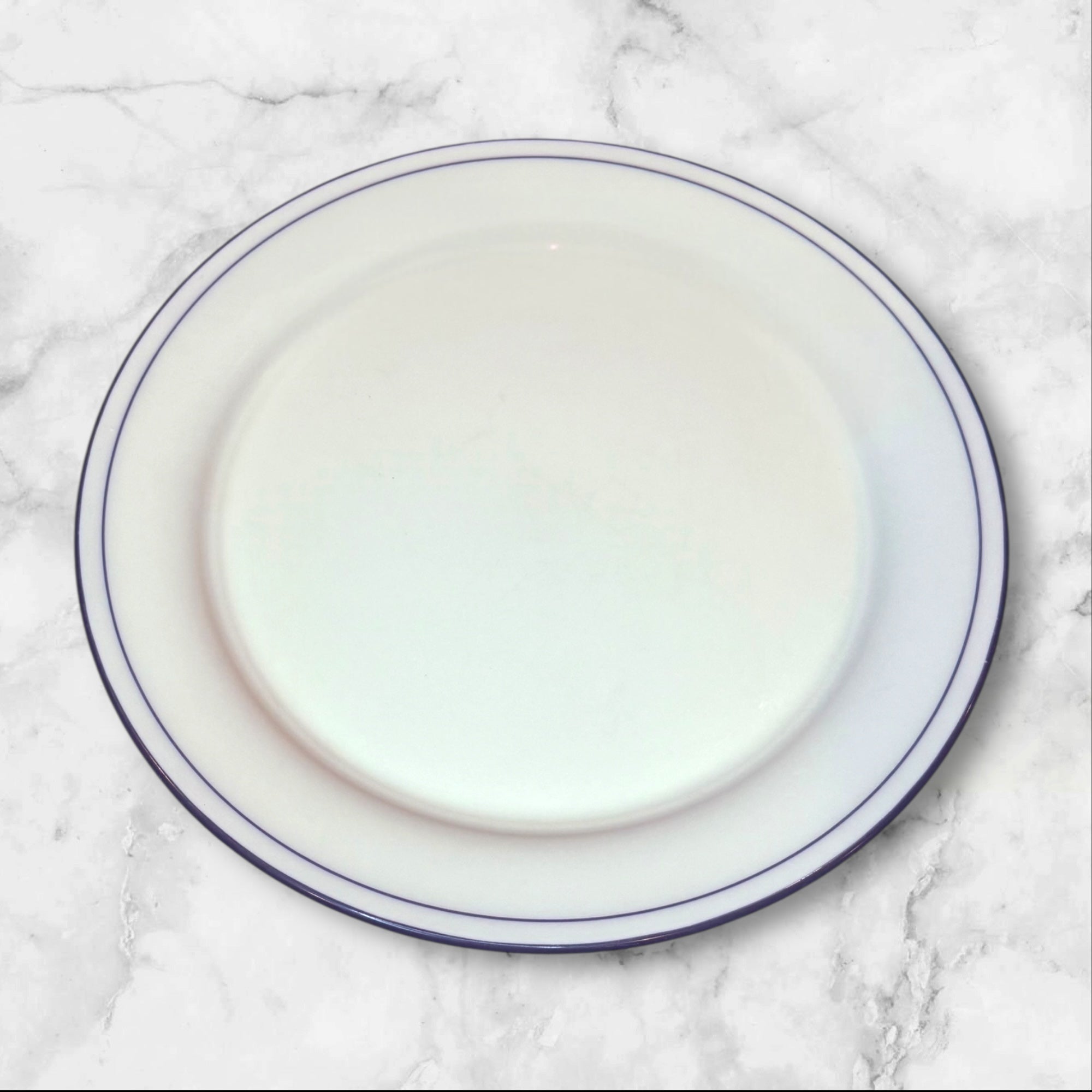 Lenox Blue Brushstrokes & Blue Pinstripes Dinner Plates | Set of 4 | Great Condition