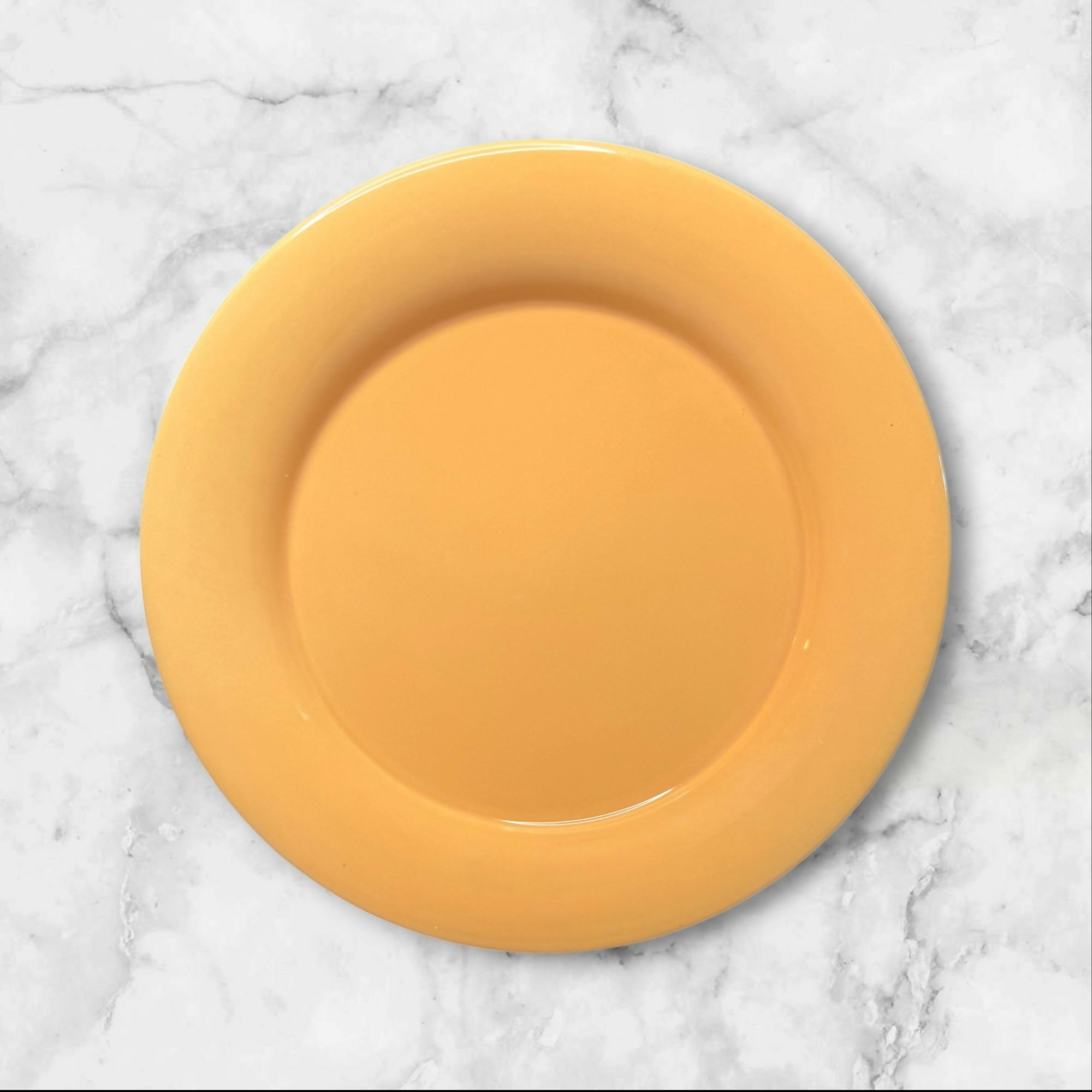 Franciscan Sandman Dinner Plates | Set of 4 | Excellent Condition