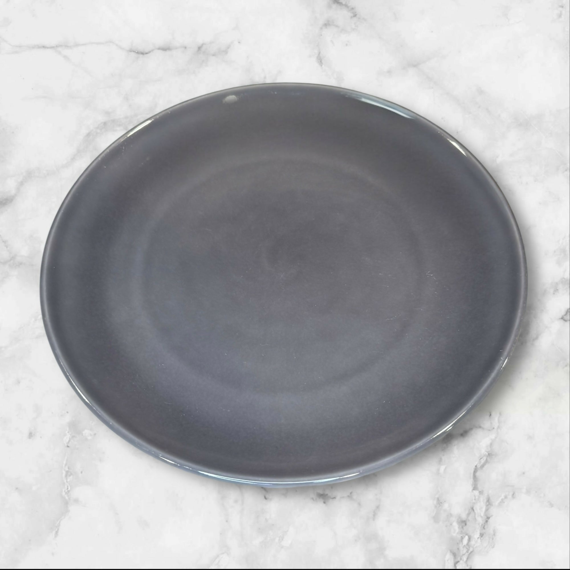 Williams Sonoma Pacifica Gray Dinner Plates | Set of 2 | 10 5/8” | Good Condition