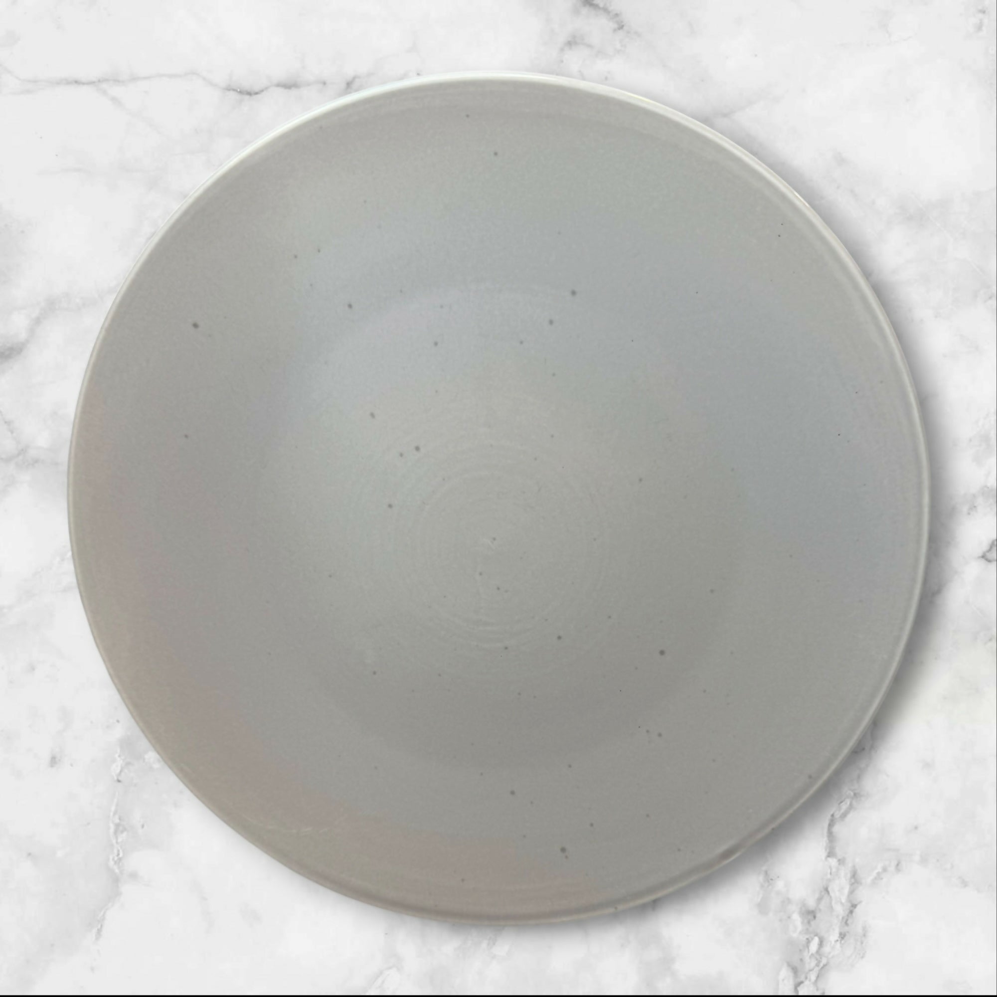 Pier 1 Clayton Speckled Stone Dinner Plates Set of 5 Great Condition