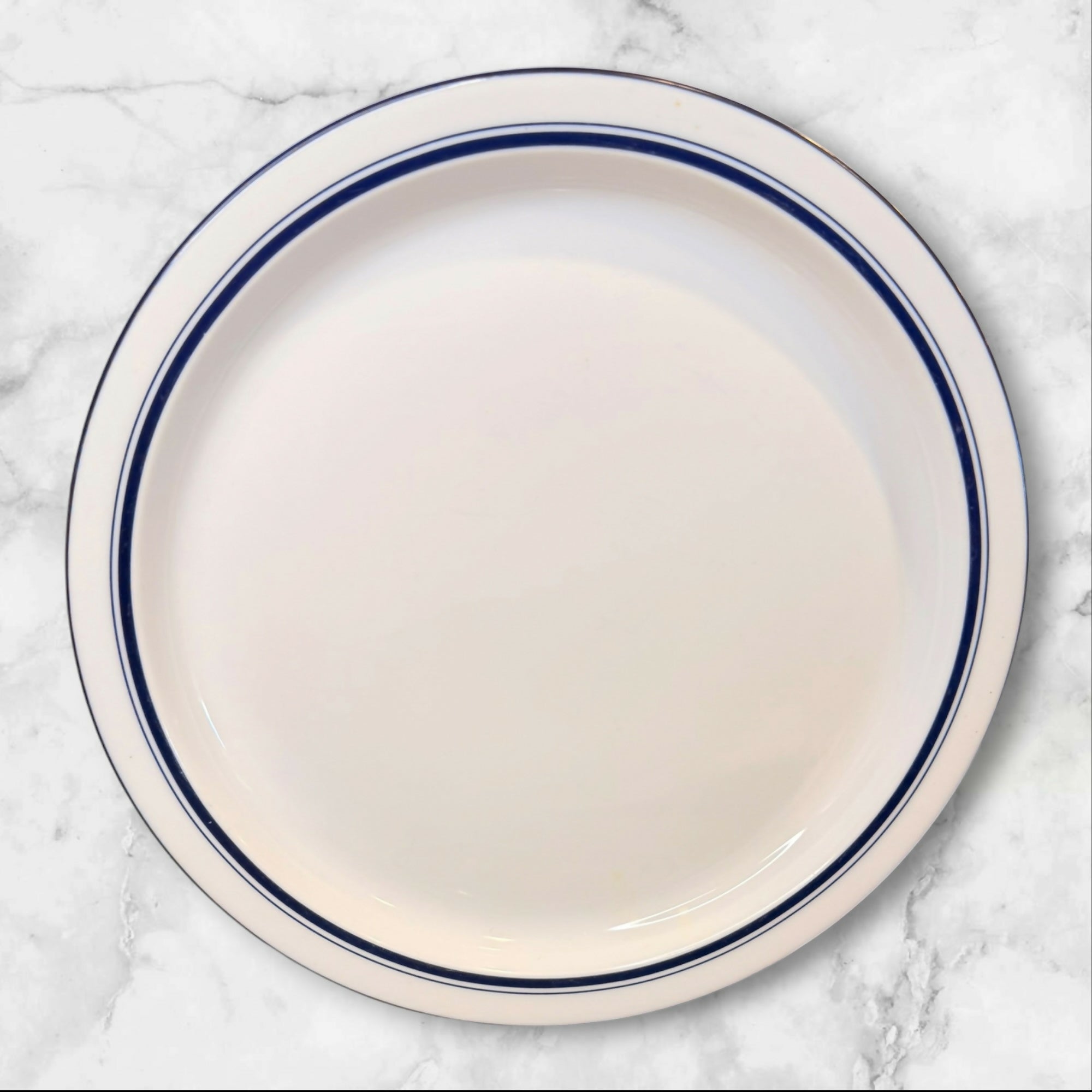 Dansk Bistro Blue Dinner Plates | Set of 4 | Gently Used Condition