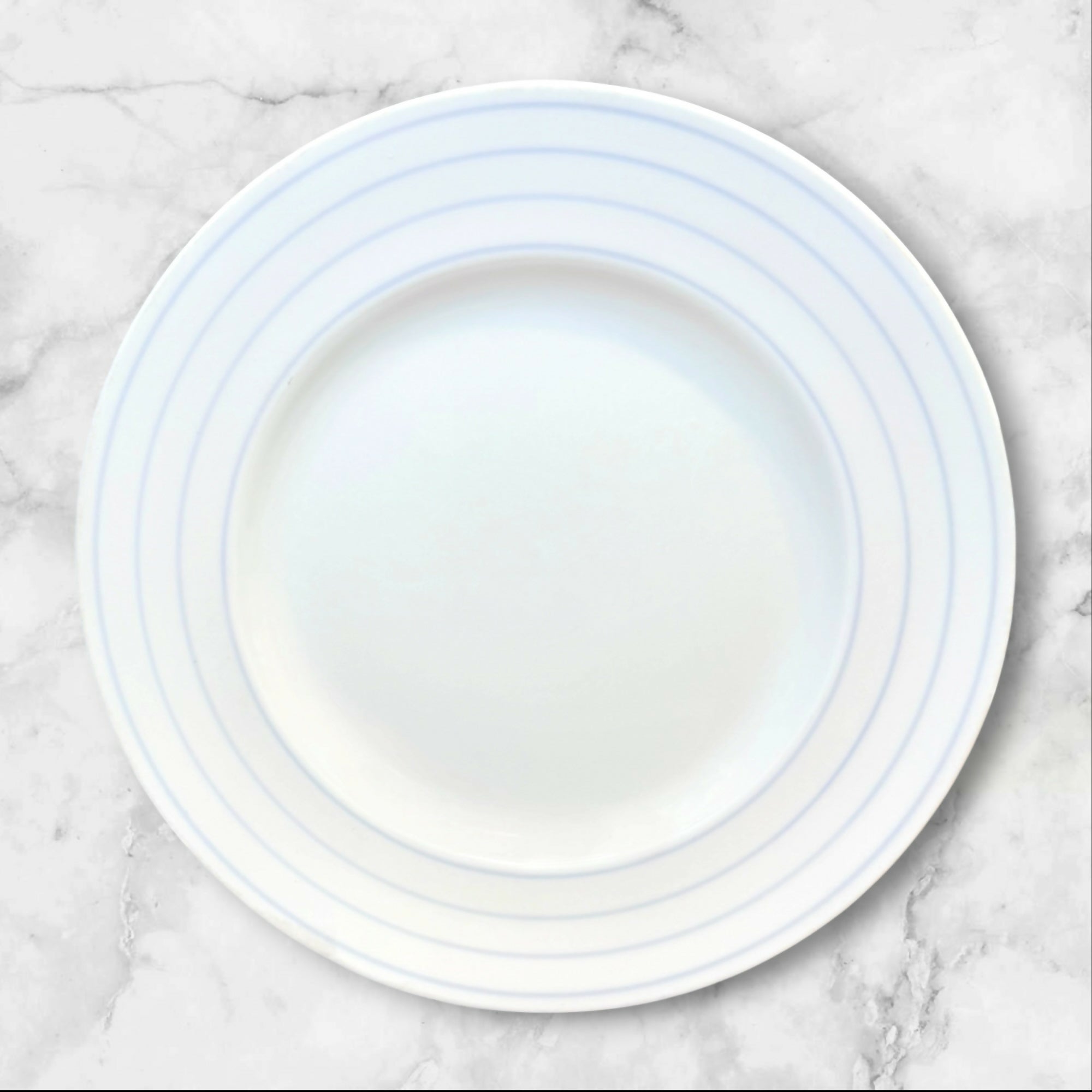 Crate & Barrel Jace Porcelain Dinner Plates | Set of 6 | Gently Used