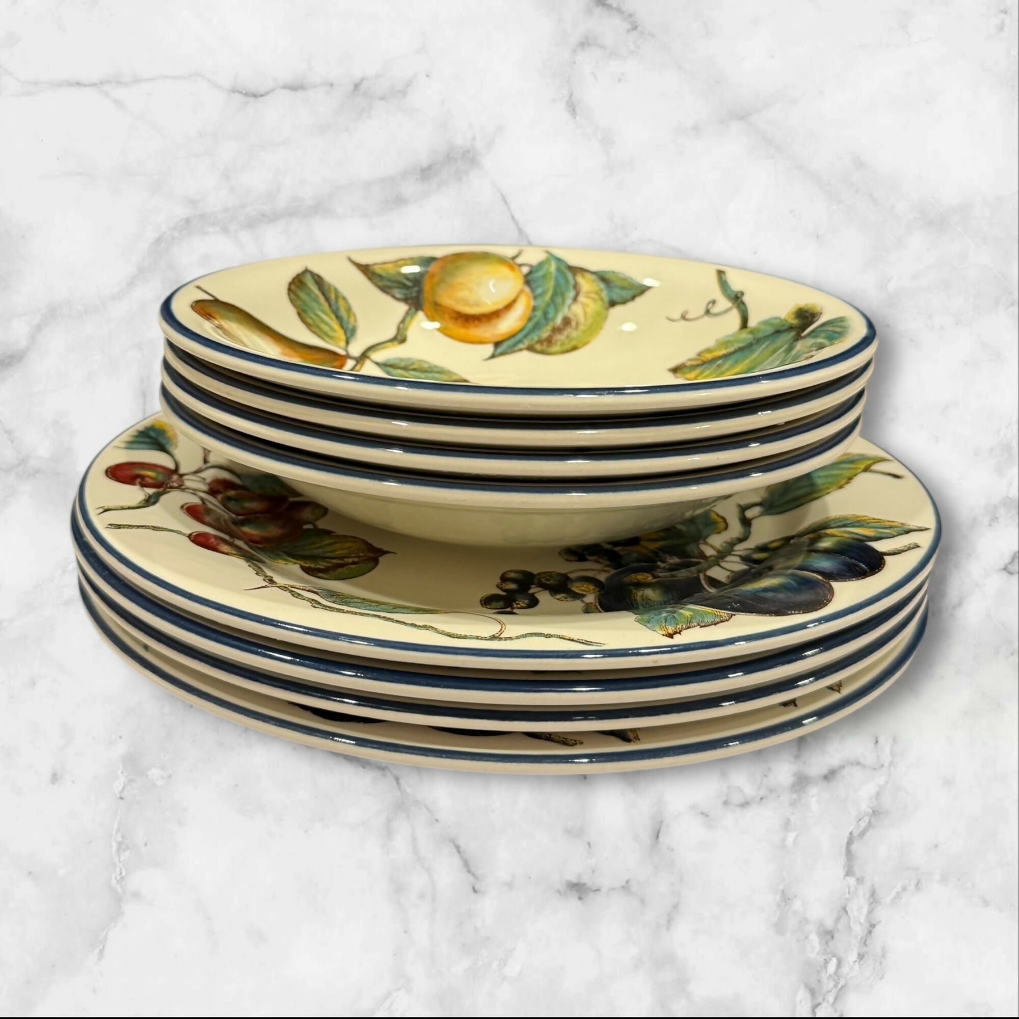 Pier 1 Macintosh Earthenware Dinner Plates & Soup Bowls | Set of 8 | Excellent Condition