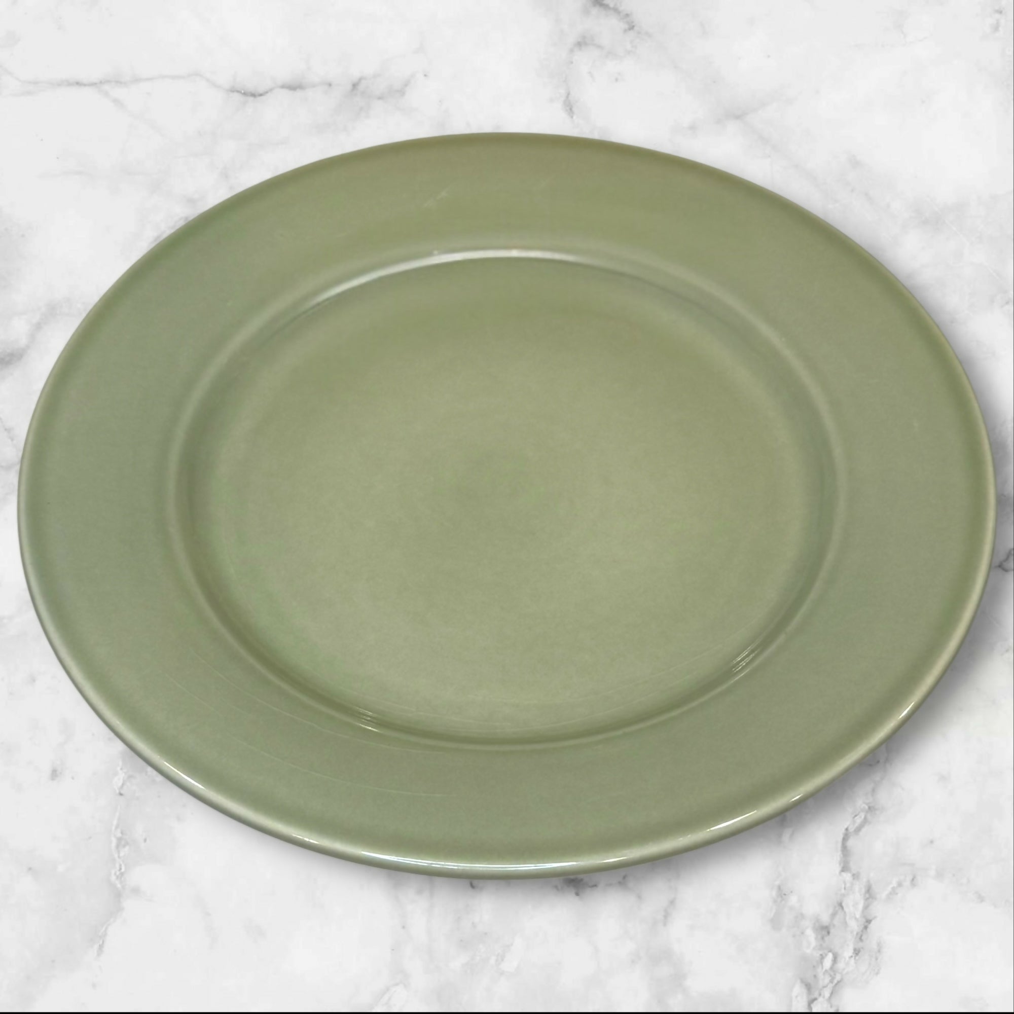 Williams Sonoma Belvedere Sage Dinner Plates | Set of 4 | Great Condition