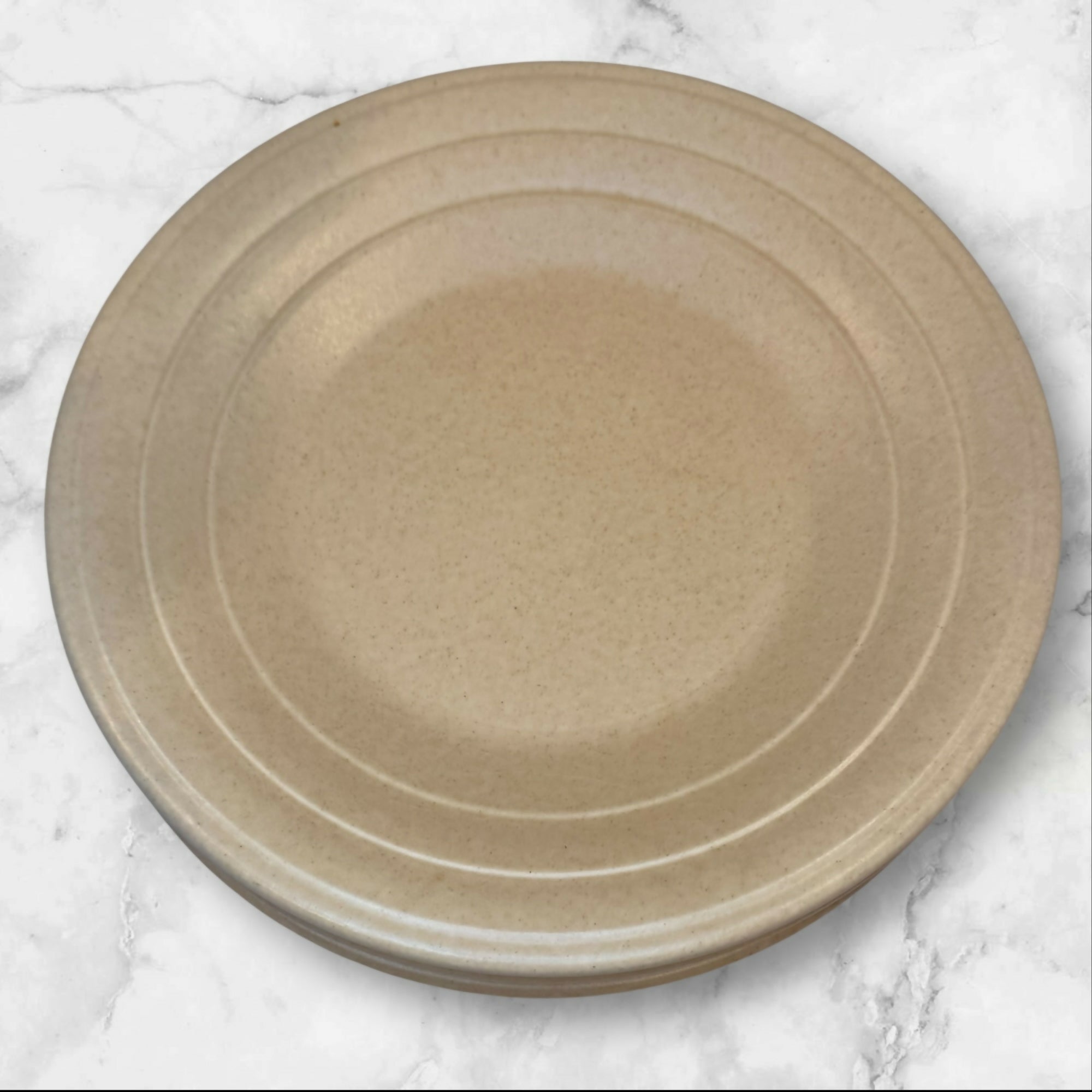 Villa Romana Speckled Stoneware Dinner Plates | Set of 4 | Gently Used
