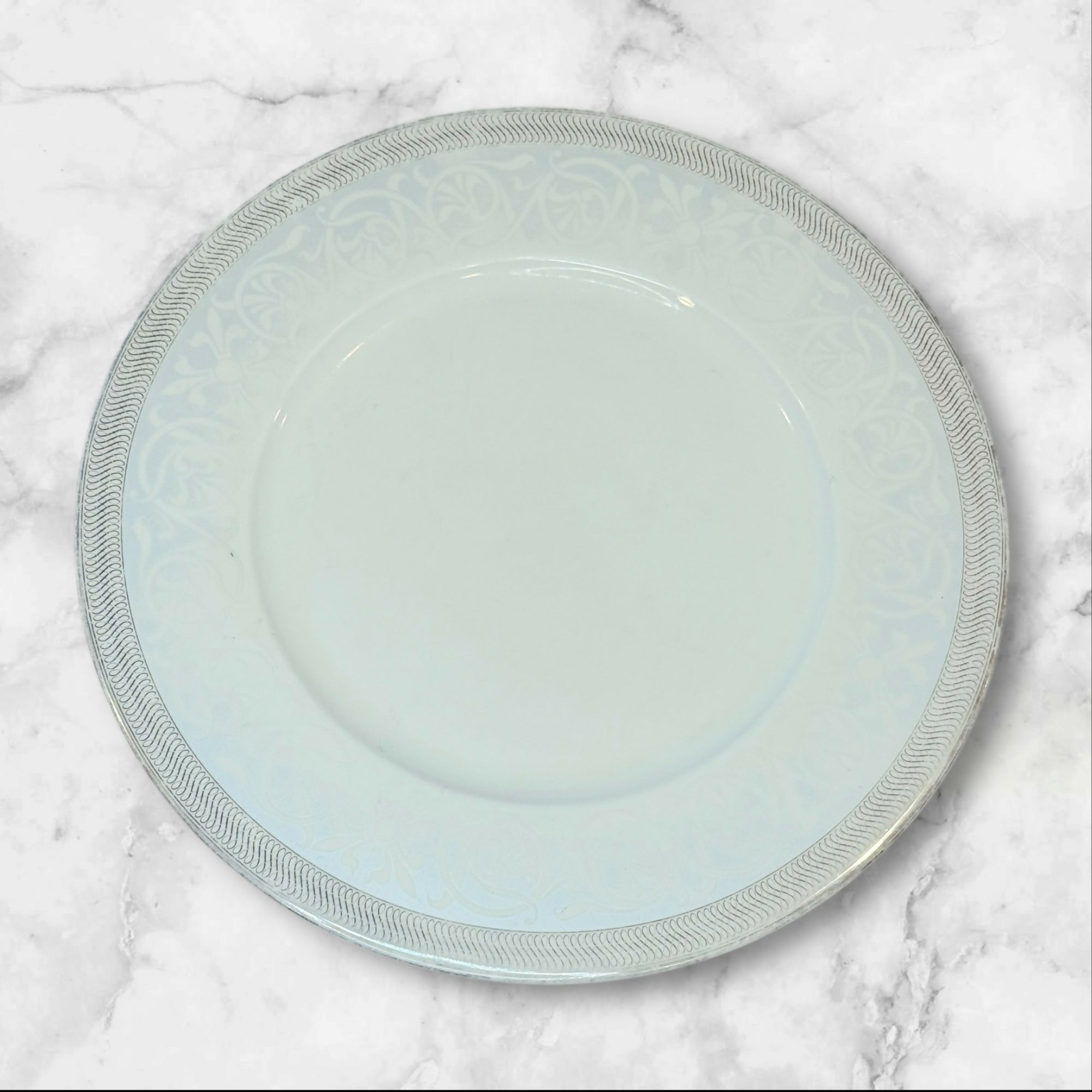 WhitePeony Fine Bone China Dinner Plates 10.75” | Set of 9 | Gently Used