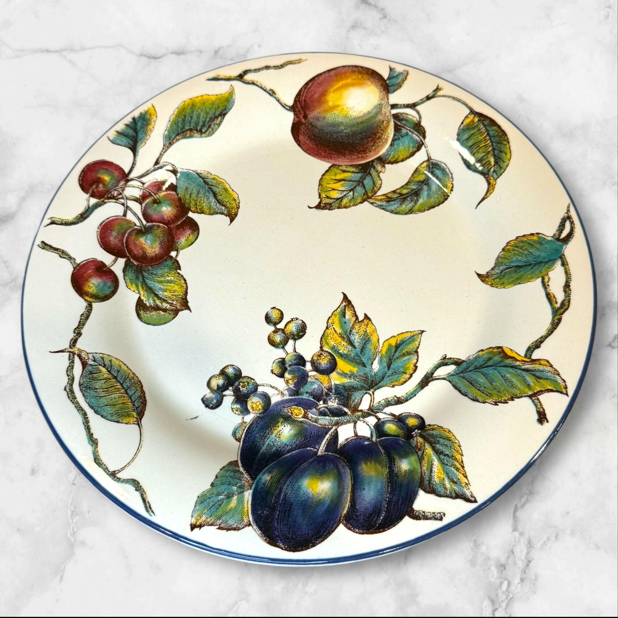 Pier 1 Macintosh Earthenware Dinner Plates & Soup Bowls | Set of 8 | Excellent Condition