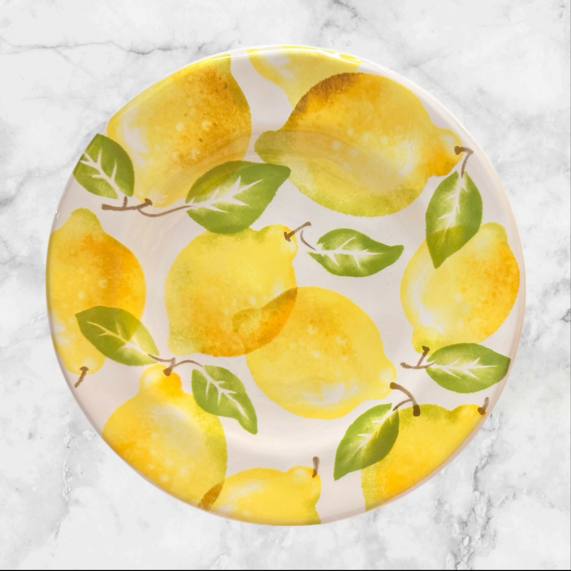 Pier 1 Lemon Salad Plates Set of 4 | 8.5” Citrus Fruit Dinnerware